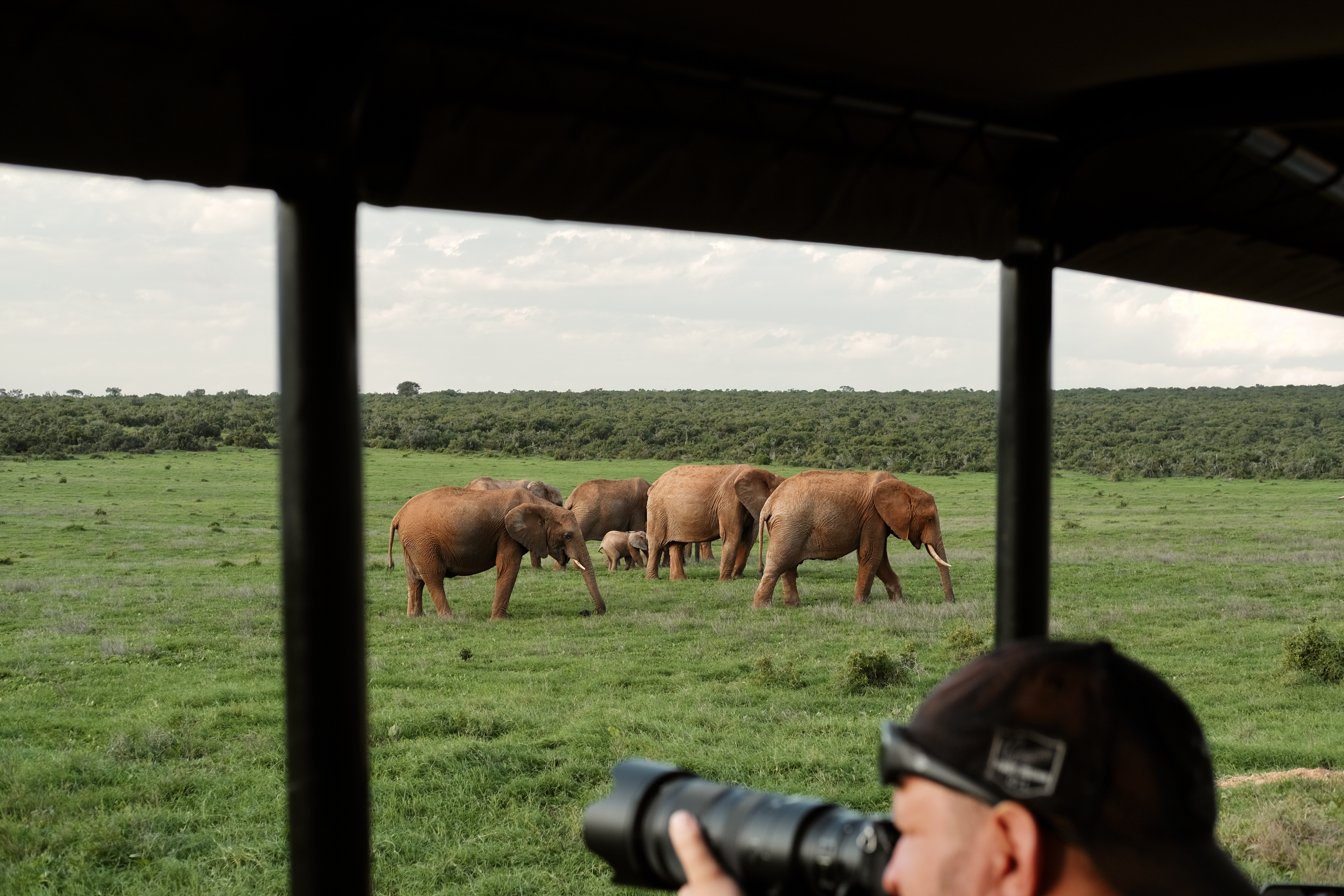 Мото-Trip По Юар: На Harley Davidson Вдоль Океана По Дороге Садов (5/59)