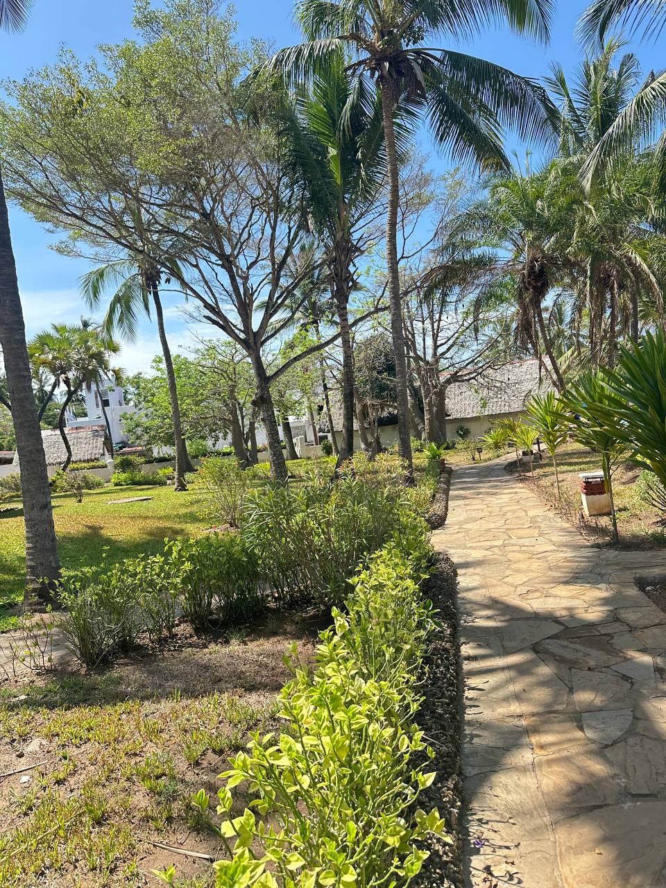 Кения Сафари+Океан (20/40)