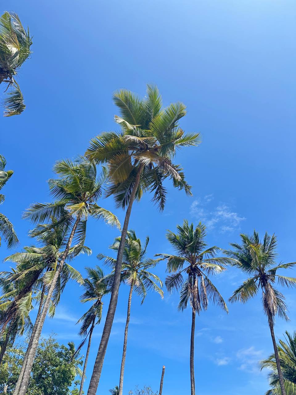 Кения Сафари+Океан (19/40)