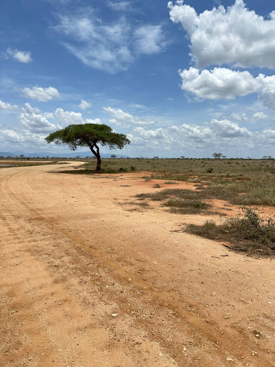 Кения Сафари+Океан (11/40)