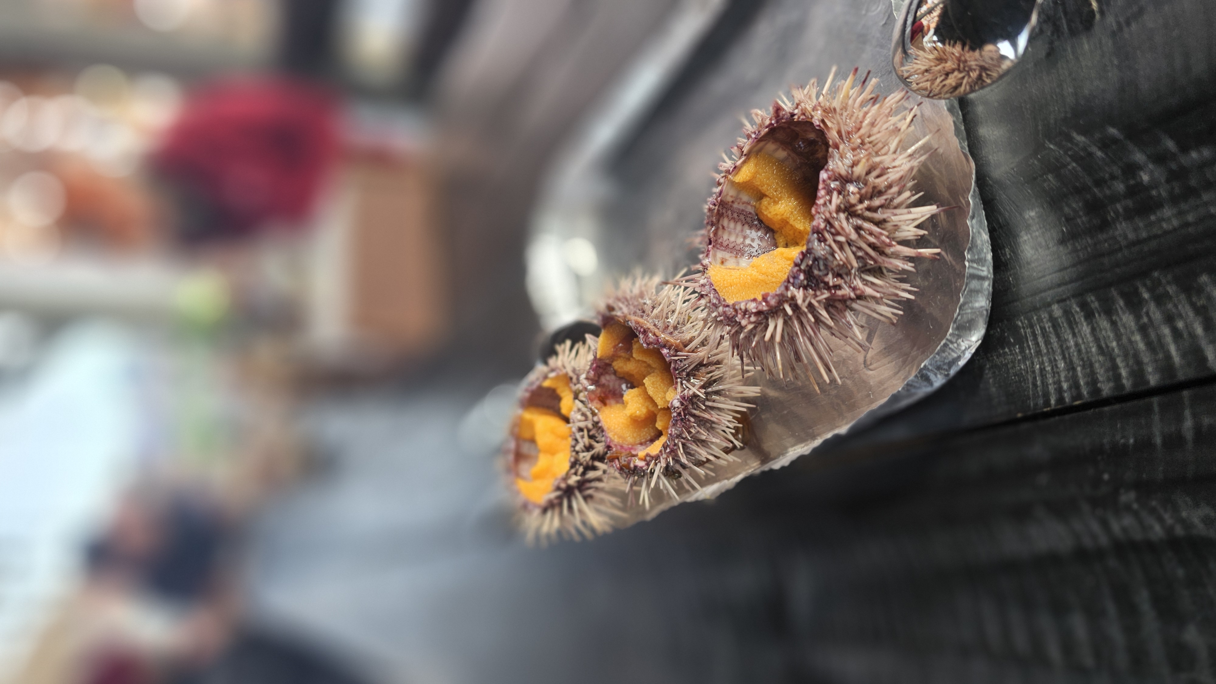 Териберка, Киты, Крабы, Баня. Всё Включено (10/38)