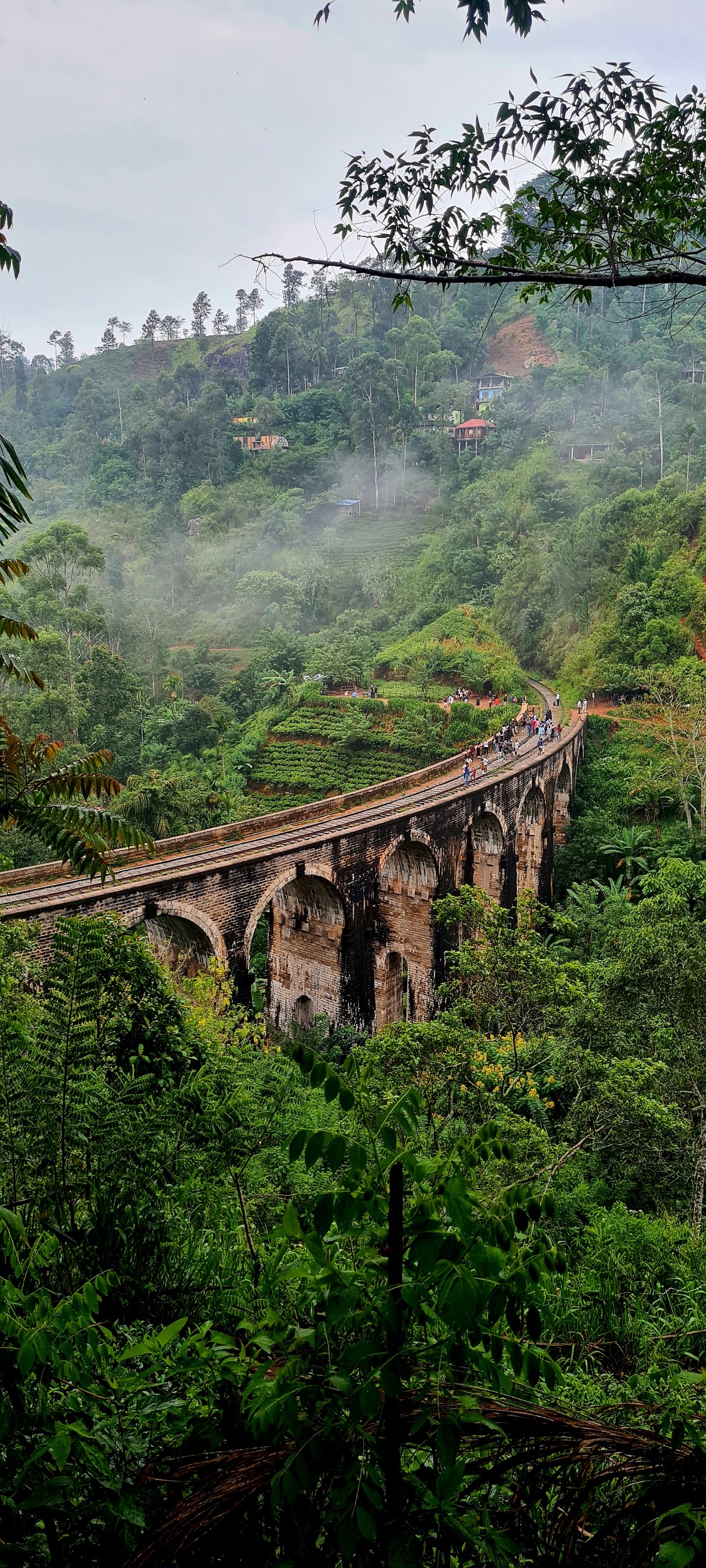 Диялума водопад и горнолыжный Элла (14/24)