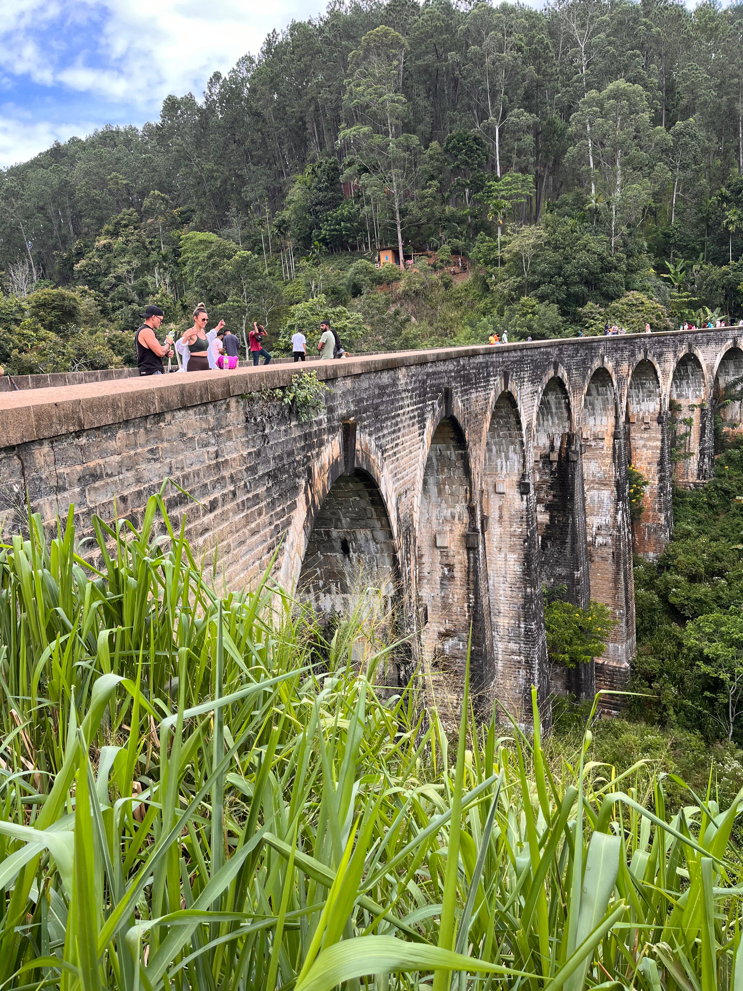 Диялума водопад и горнолыжный Элла (8/24)