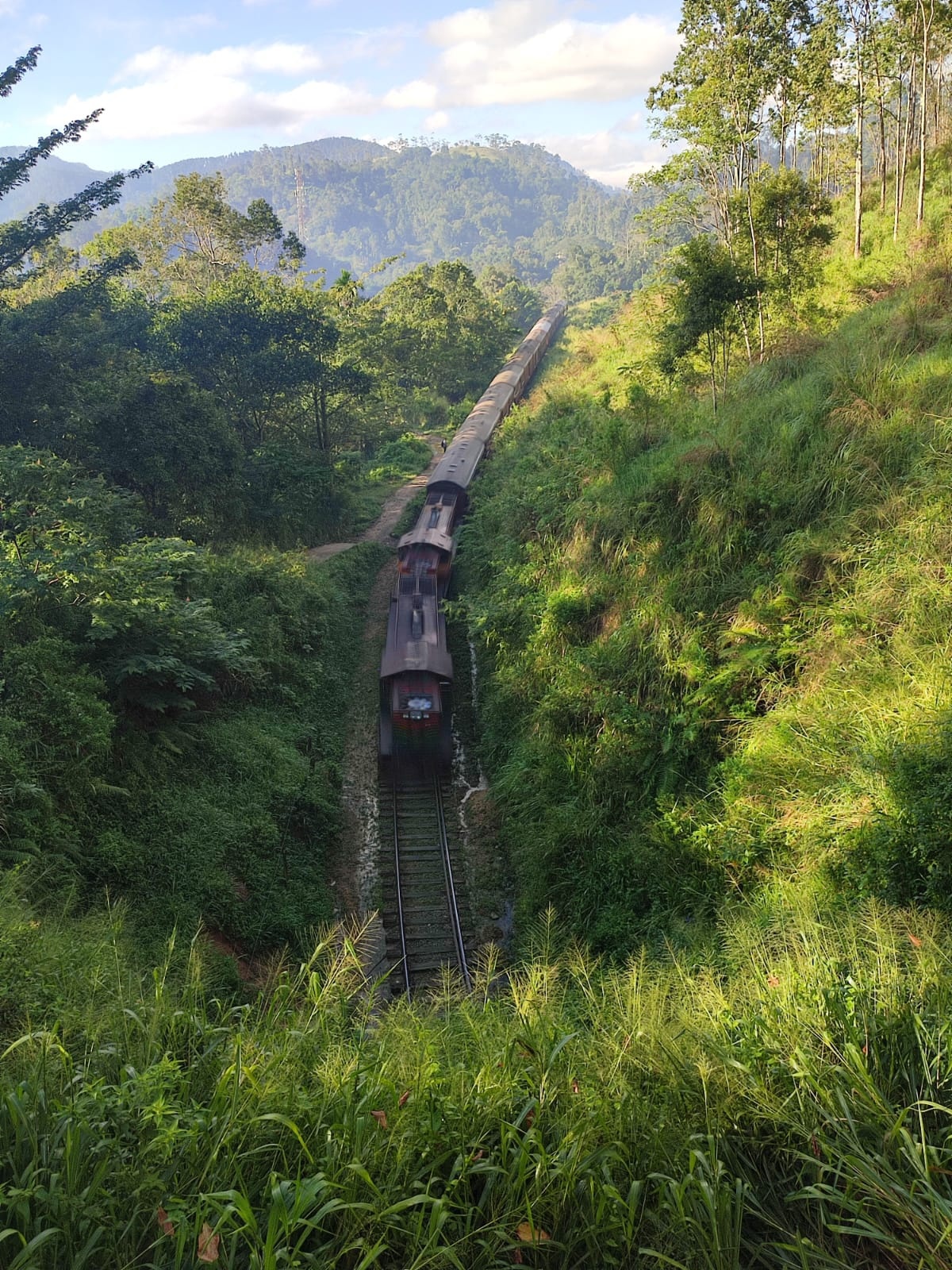 Диялума водопад и горнолыжный Элла (6/24)