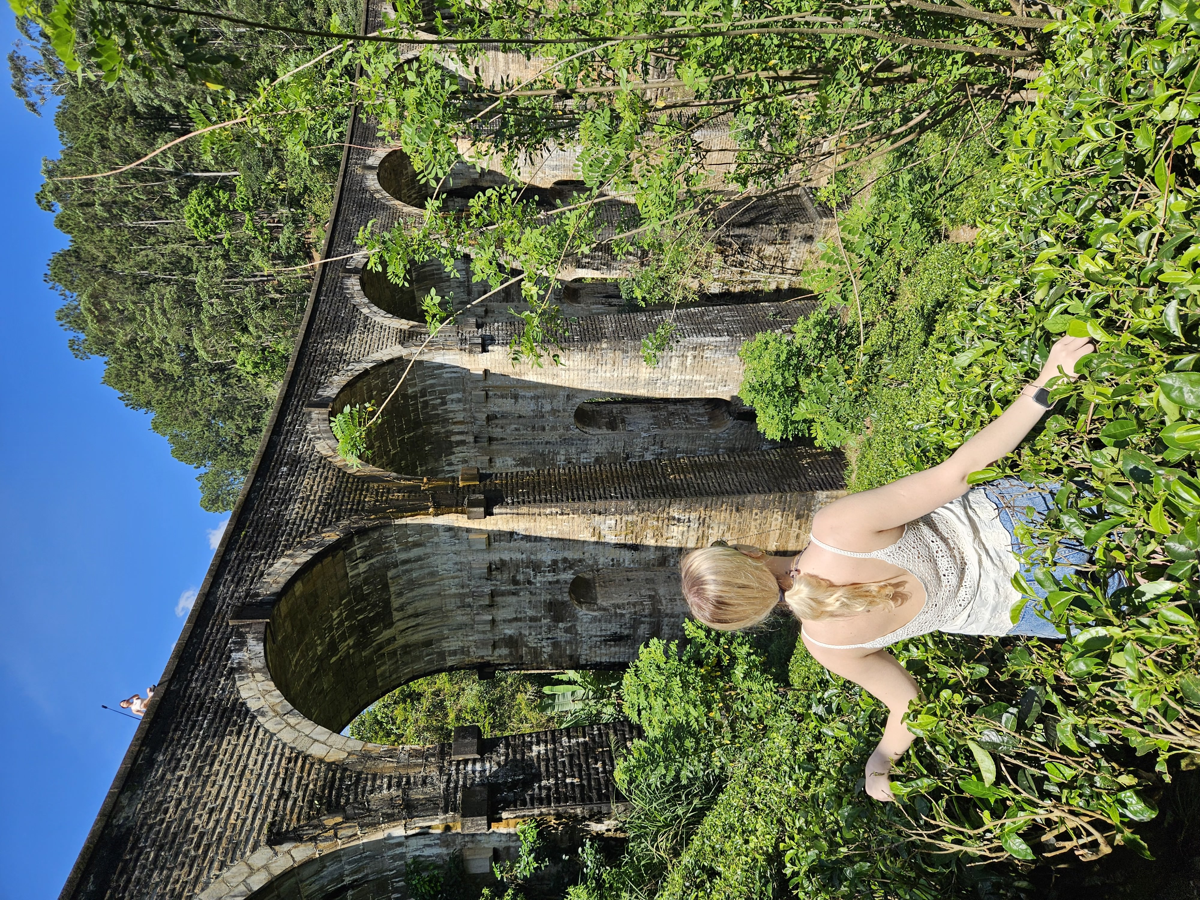 Диялума водопад и горнолыжный Элла (17/24)