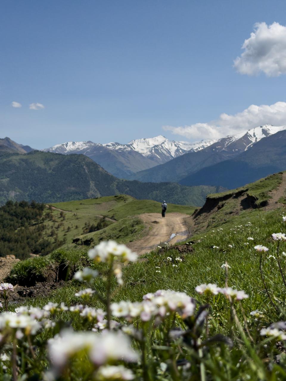Бархан Сарыкум, Сулакский каньон