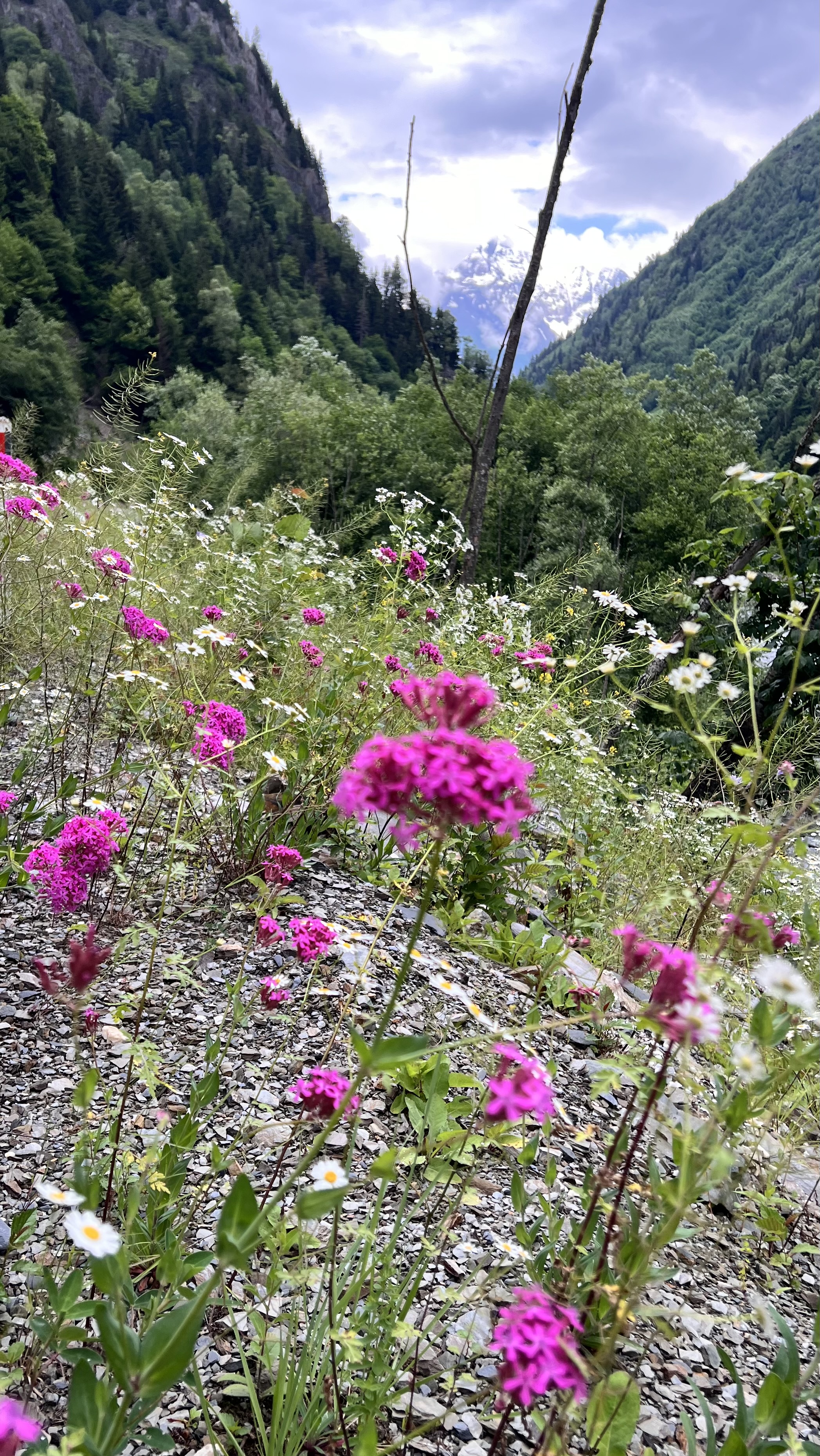 Рача и Сванети- два самых живописных региона Грузии в одном туре. (24/52)