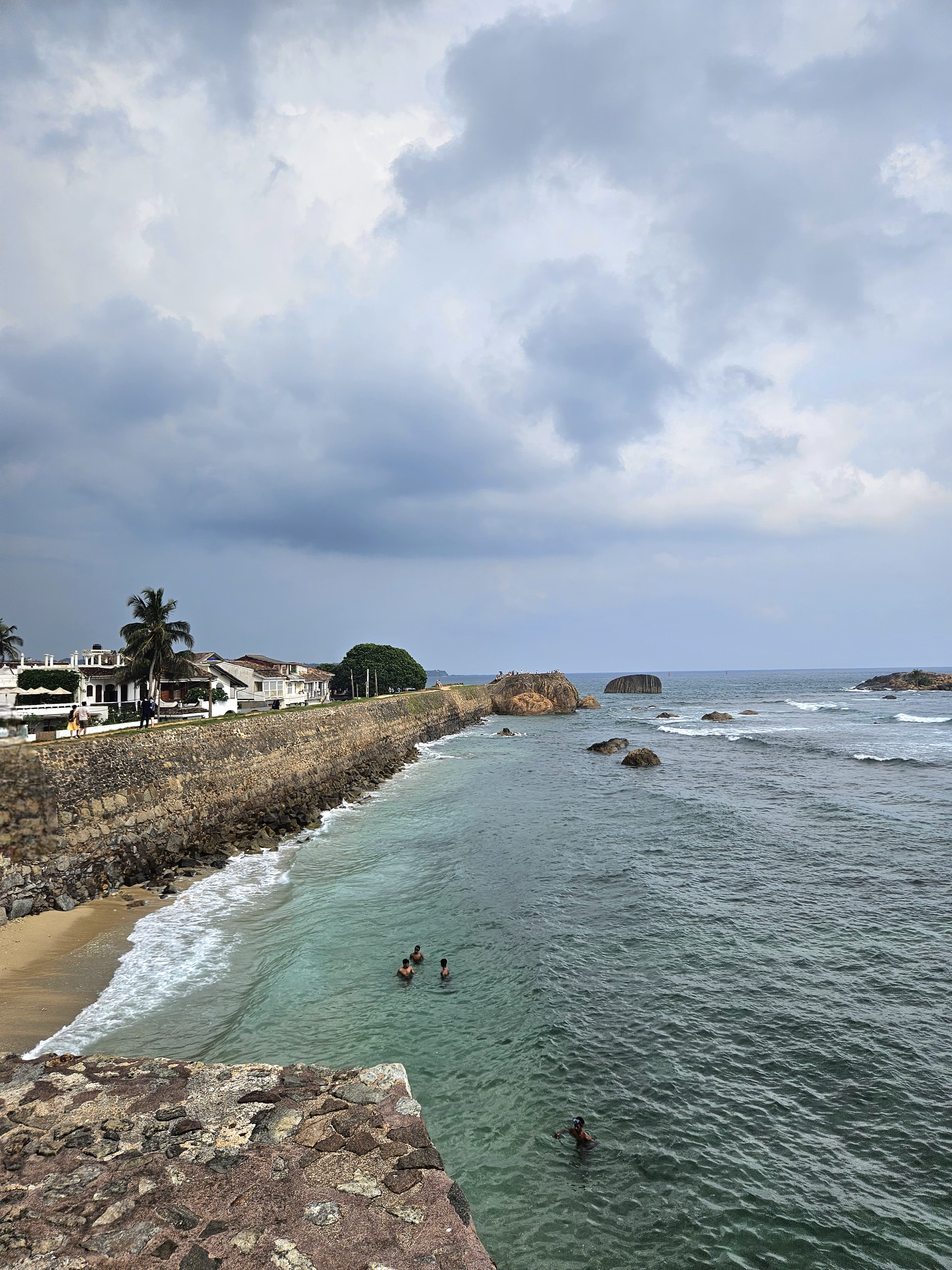 Визитные карточки  Галла и черепахи (15/19)