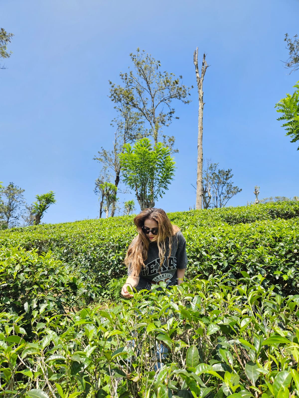 Горная Шри-Ланка двух Дневная Экскурсия (8/21)