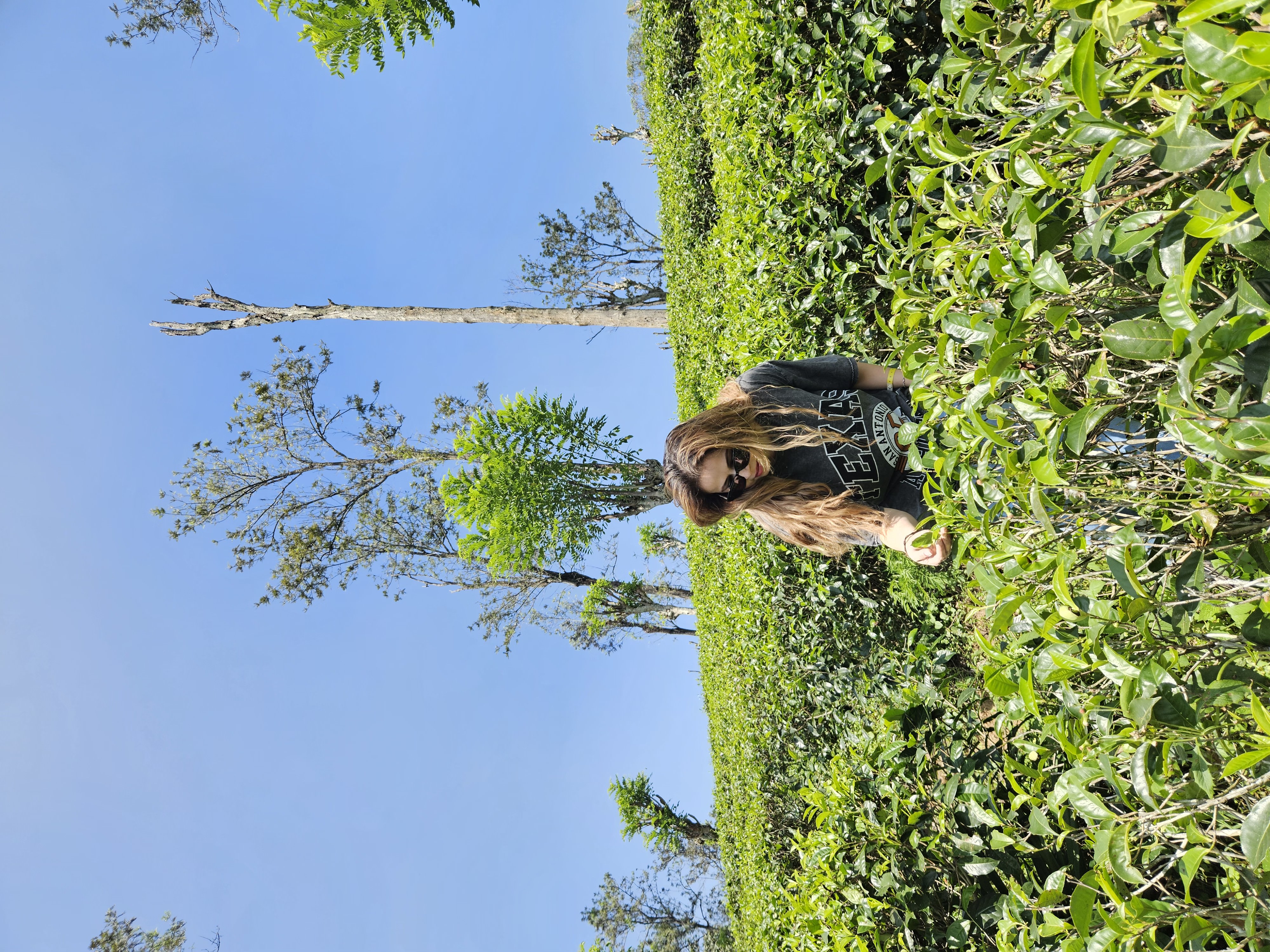 Диялума водопад и горнолыжный Элла (22/24)