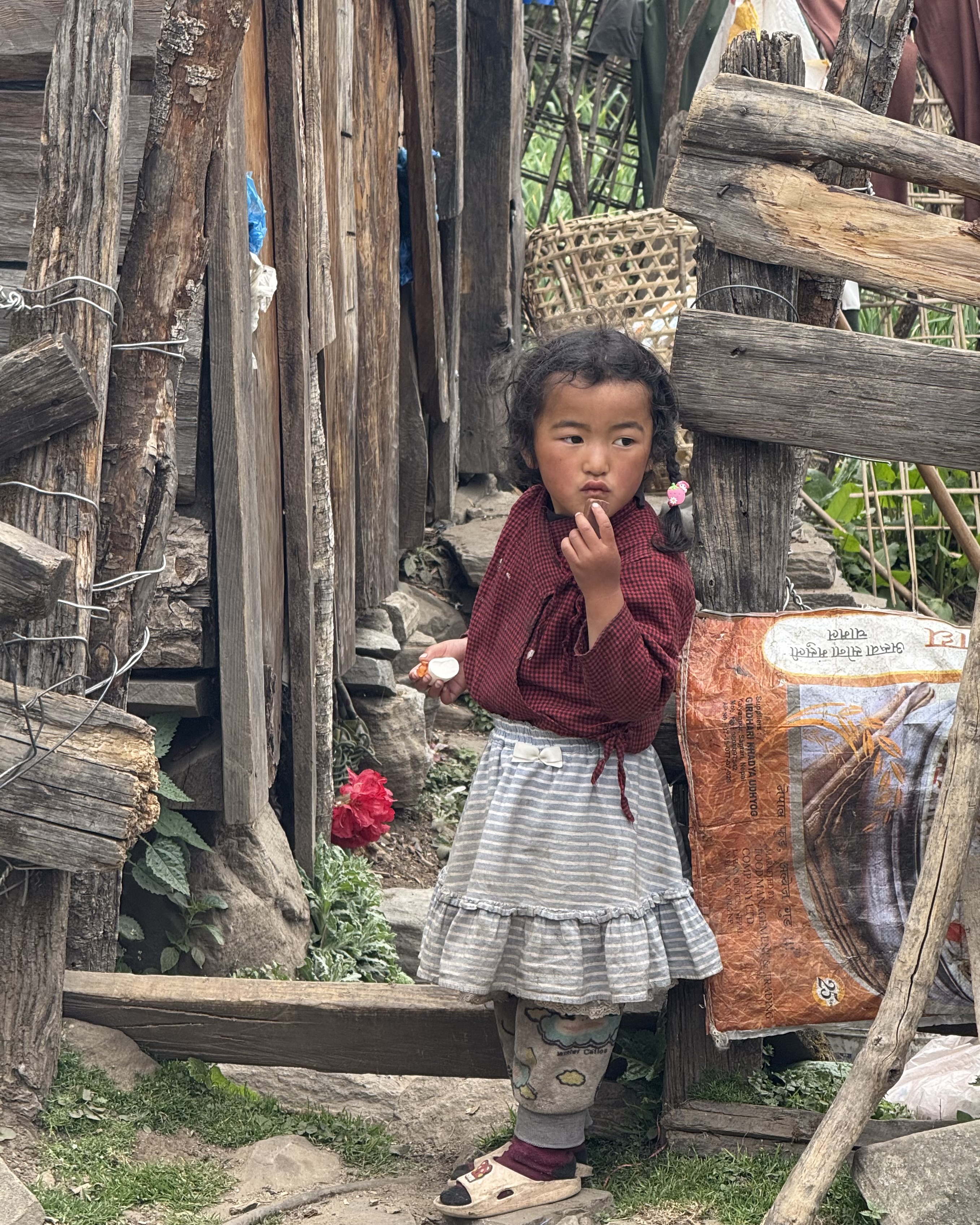 Непал - трек вокруг Аннапурны! (24/44)