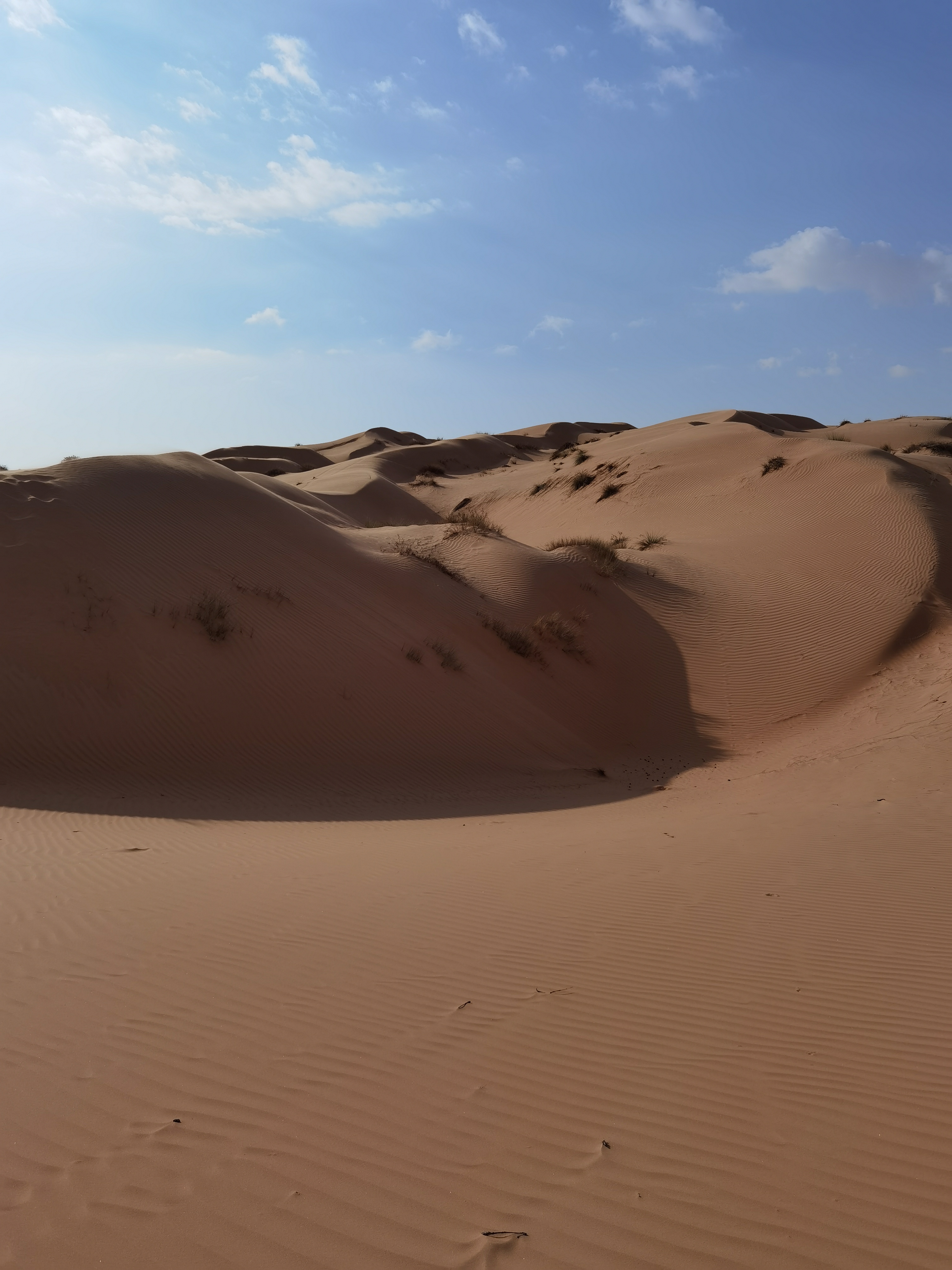 Оман: Страна На Максимум (13/49)