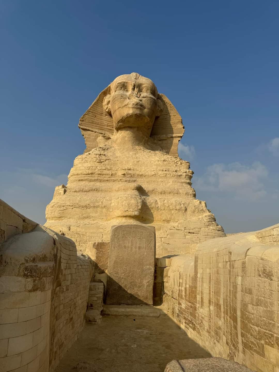 Большой Египтский музей и пирамиды за один день (17/24)