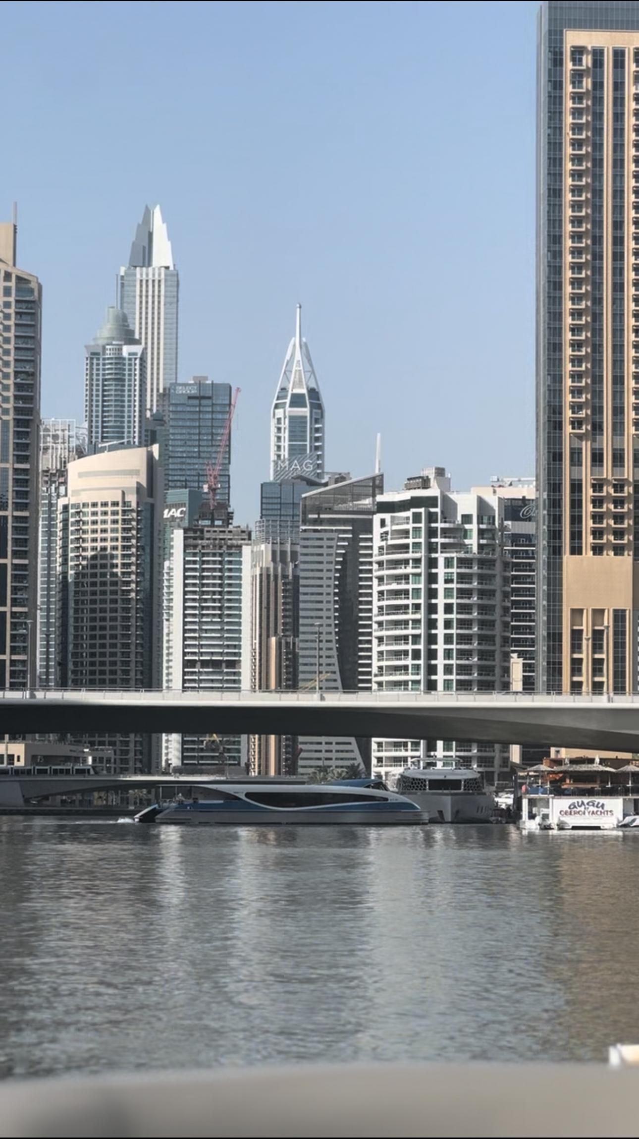 Приватная Вечеринка на яхте-катамаране в Дубае для большой компании. (7/7)