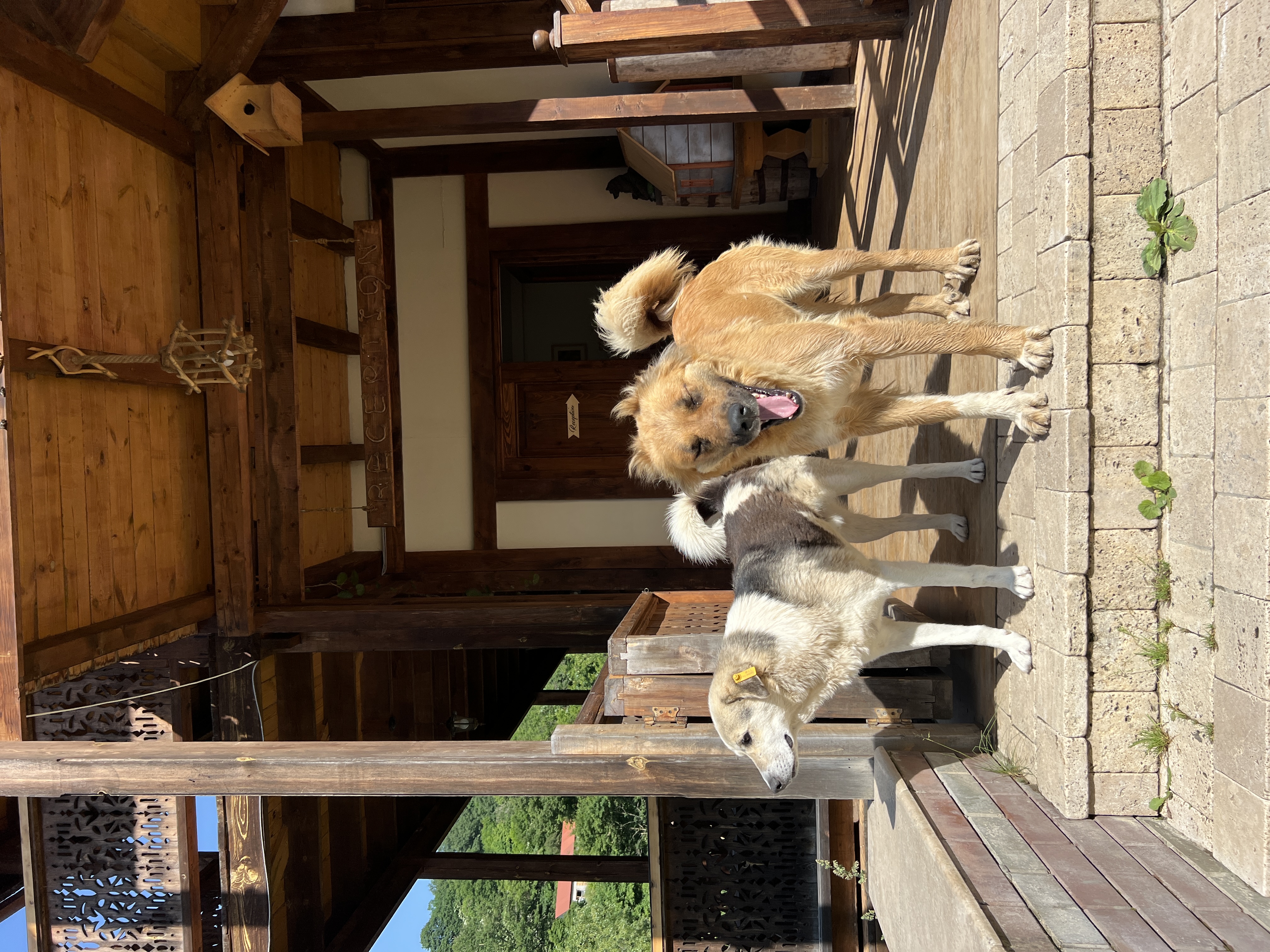 Эко-роскошь в дикой Армении. Винная дегустация, Джиппинг, Баня (30/55)