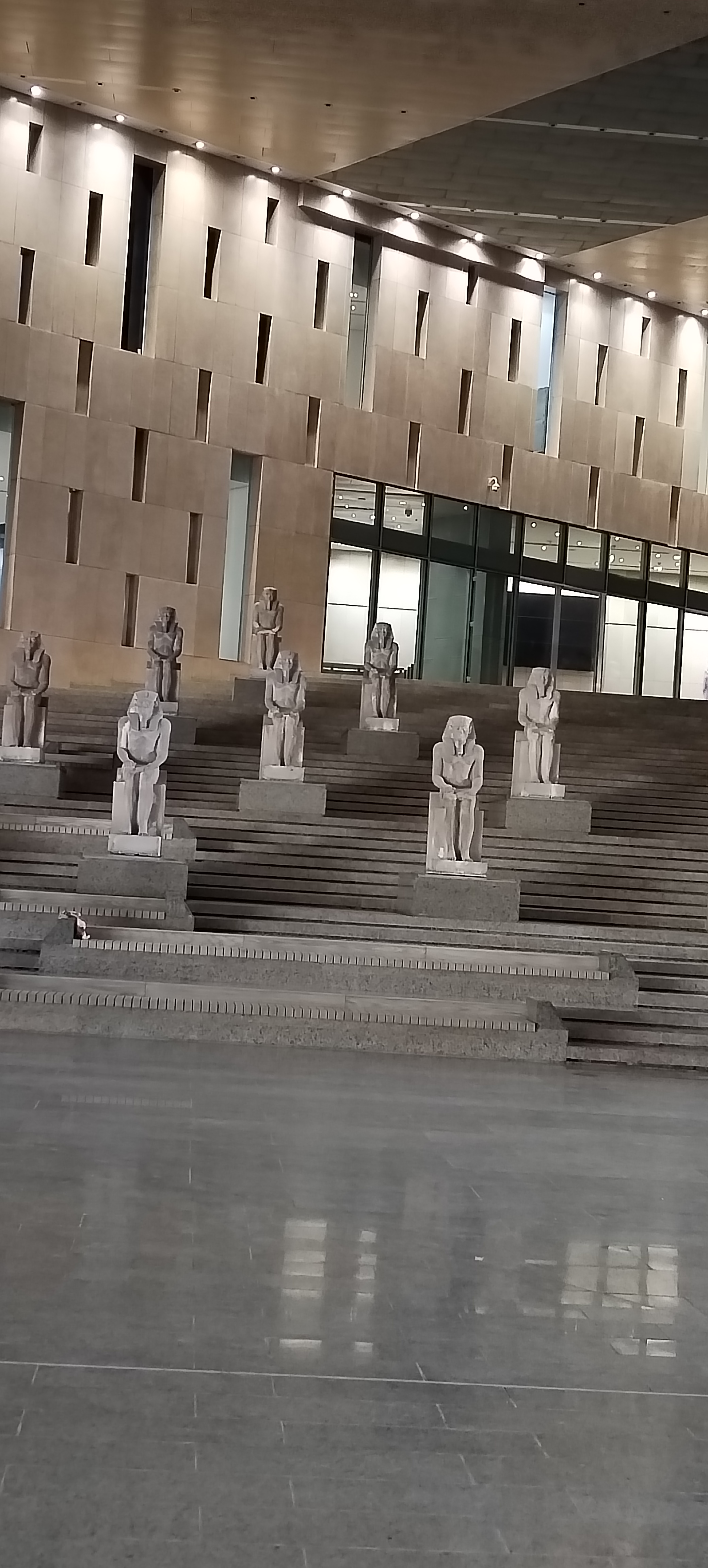 Большой Египтский музей и пирамиды за один день (16/24)