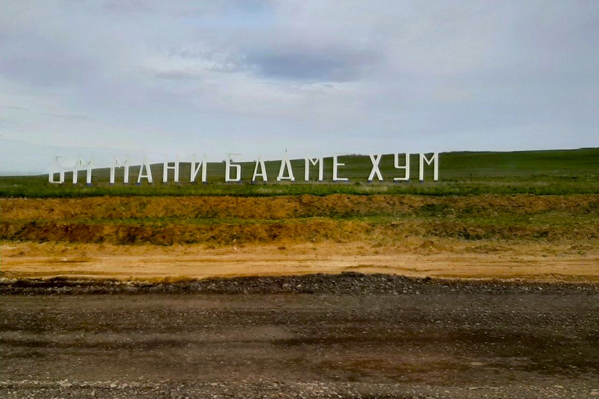 Уникальная фауна степей Калмыкии: птицы и сайгаки (4/34)