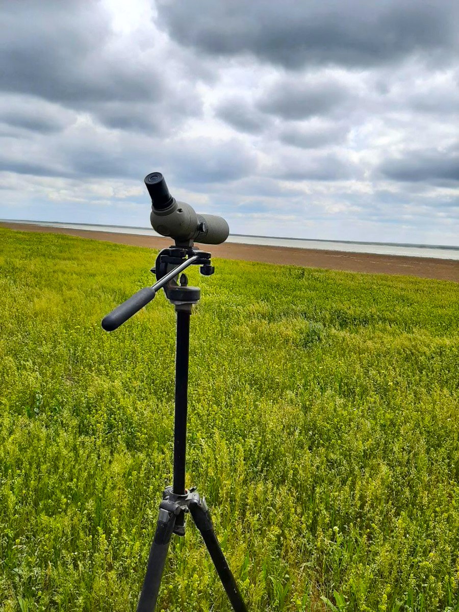 Весенняя Калмыкия: цветущая степь и северный буддизм (18/30)