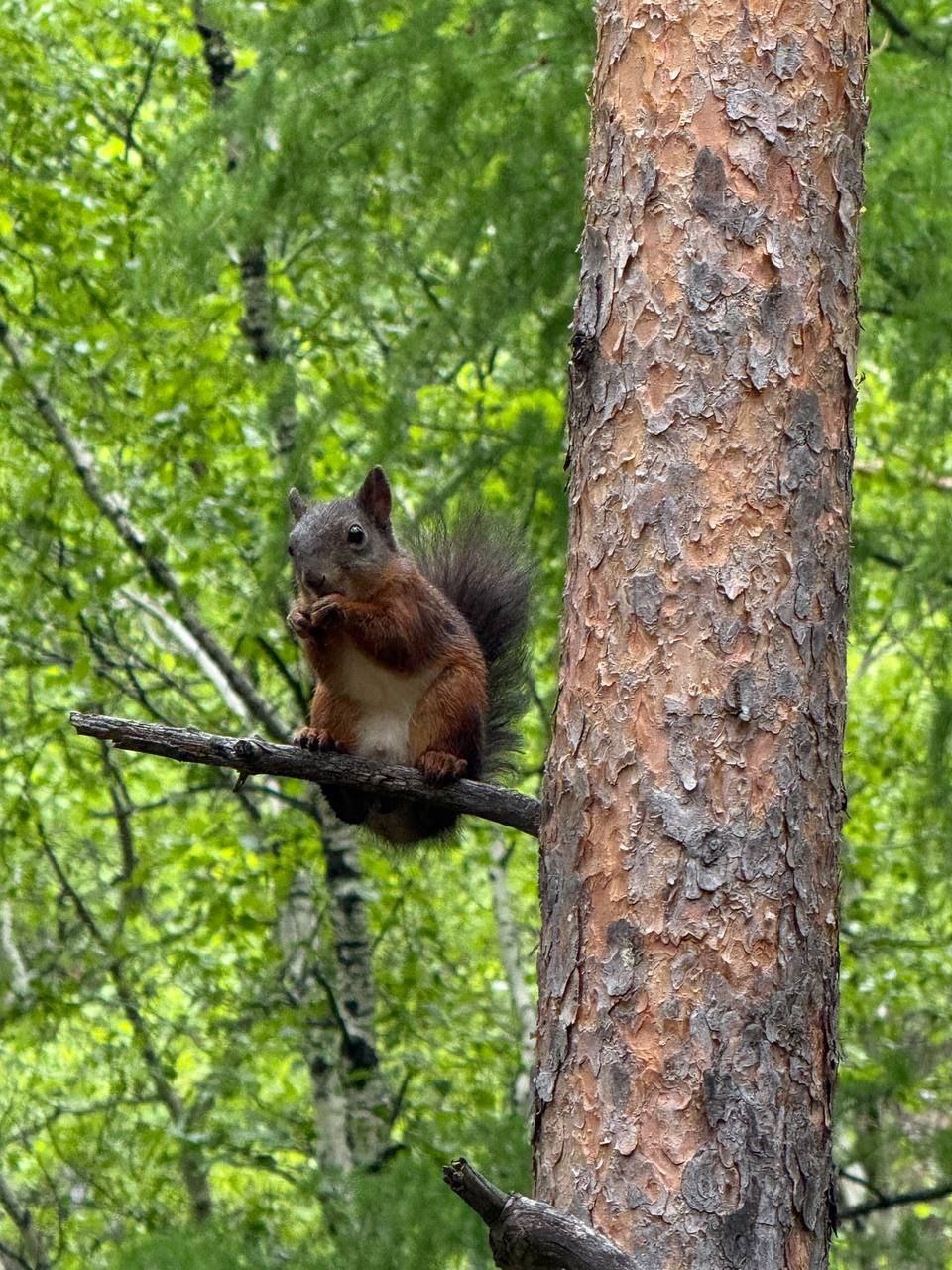 В Монголию к озеру Хубсугул (18/68)