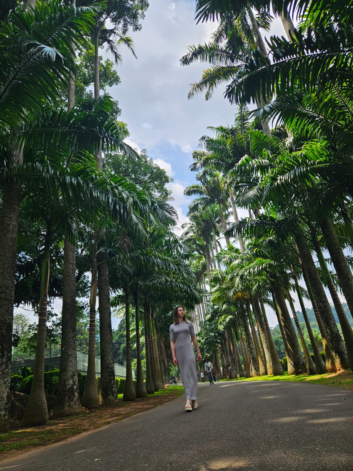 Горная Шри-Ланка двух Дневная Экскурсия (17/21)