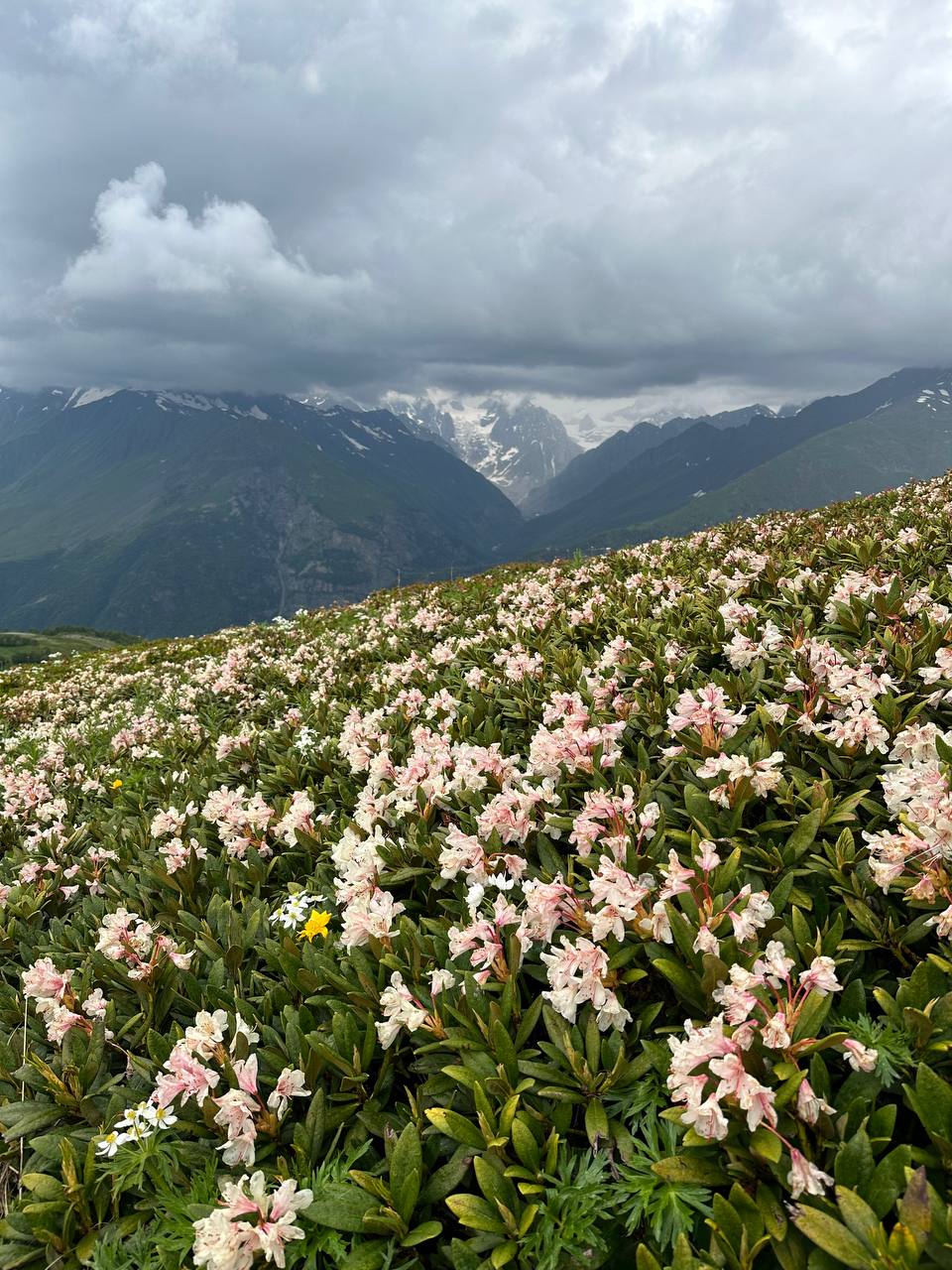Тур в горы Грузии. Горная Сванетия. Снежные вершины, водопады, каньоны, пещеры (34/69)