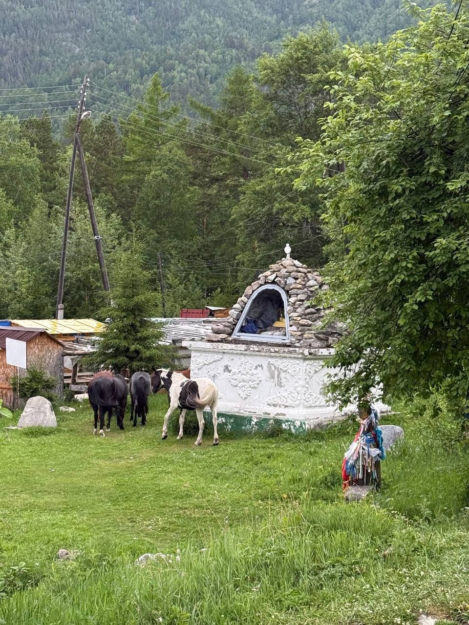 В Монголию к озеру Хубсугул (22/68)