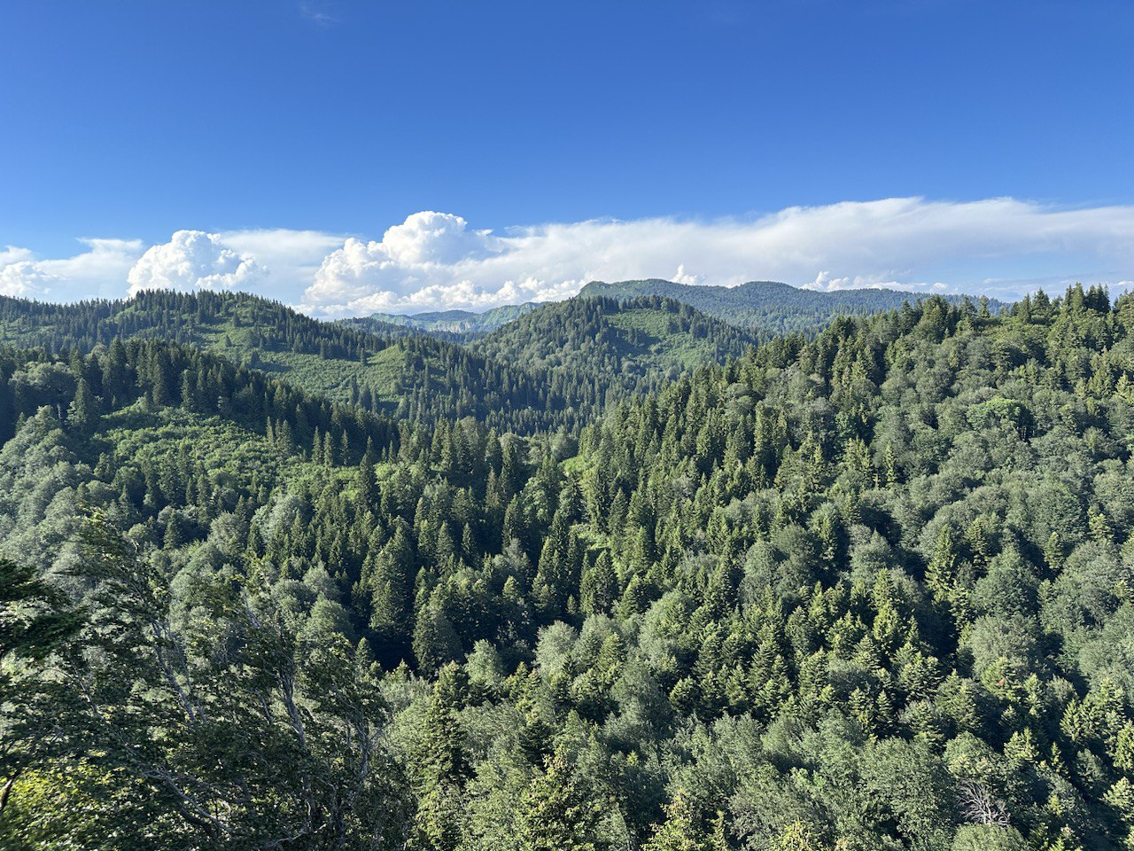 Тур в горы Грузии. Горная Сванетия. Снежные вершины, водопады, каньоны, пещеры (23/69)