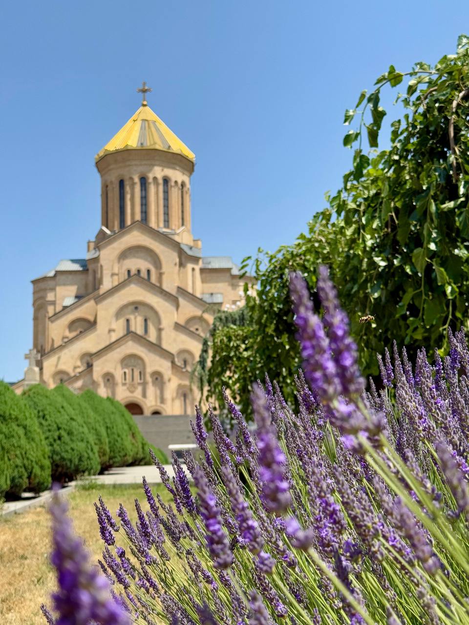 Тур в горы Грузии. Горная Сванетия. Снежные вершины, водопады, каньоны, пещеры (40/69)