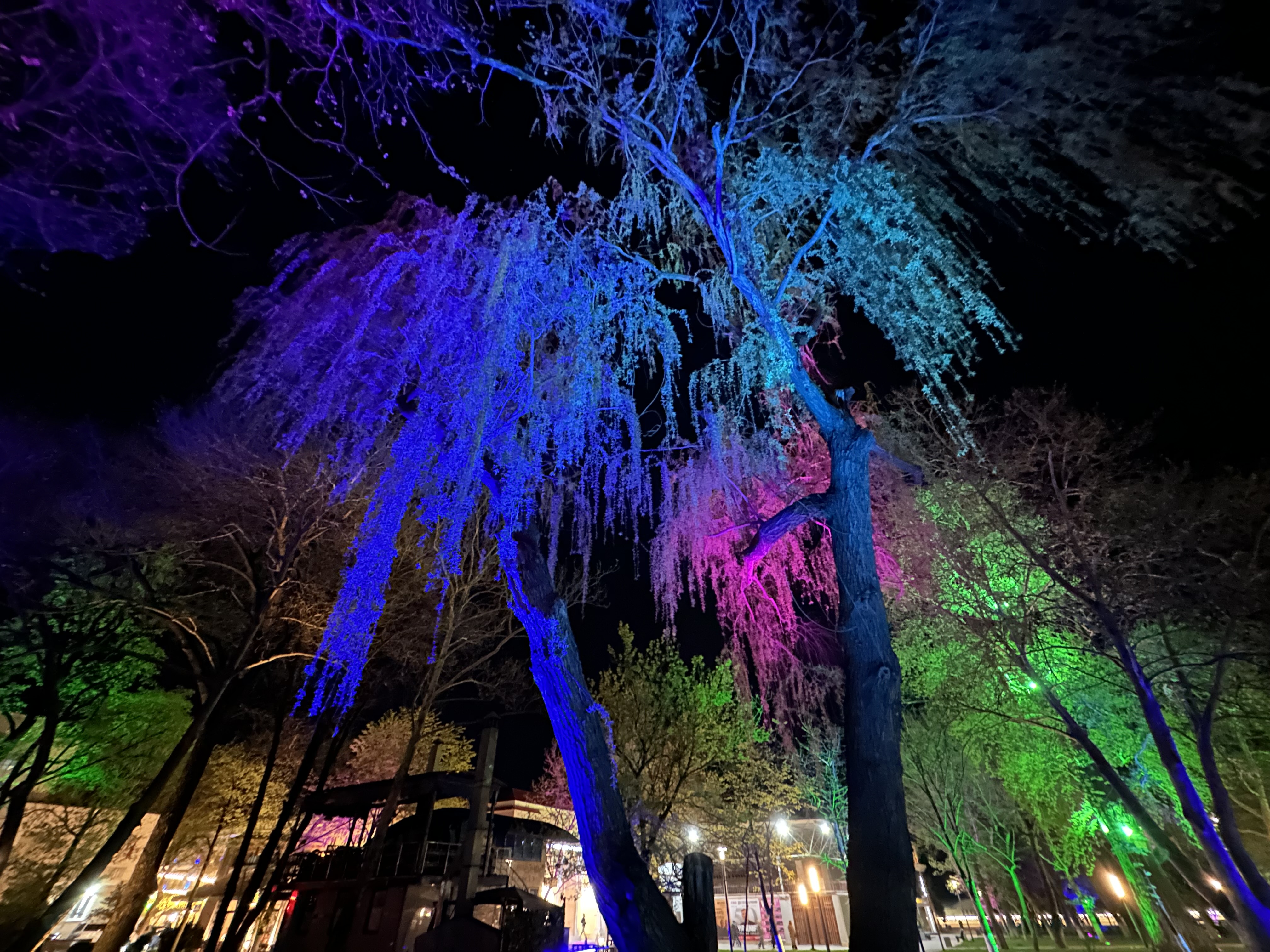 Старая Махачкала (8/36)