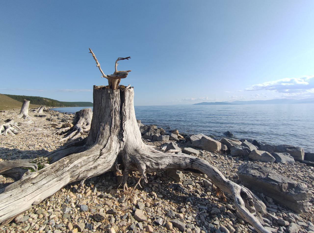 В Монголию к озеру Хубсугул (37/68)