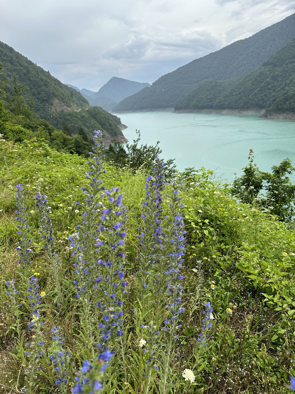 Тур в горы Грузии. Горная Сванетия. Снежные вершины, водопады, каньоны, пещеры (22/69)