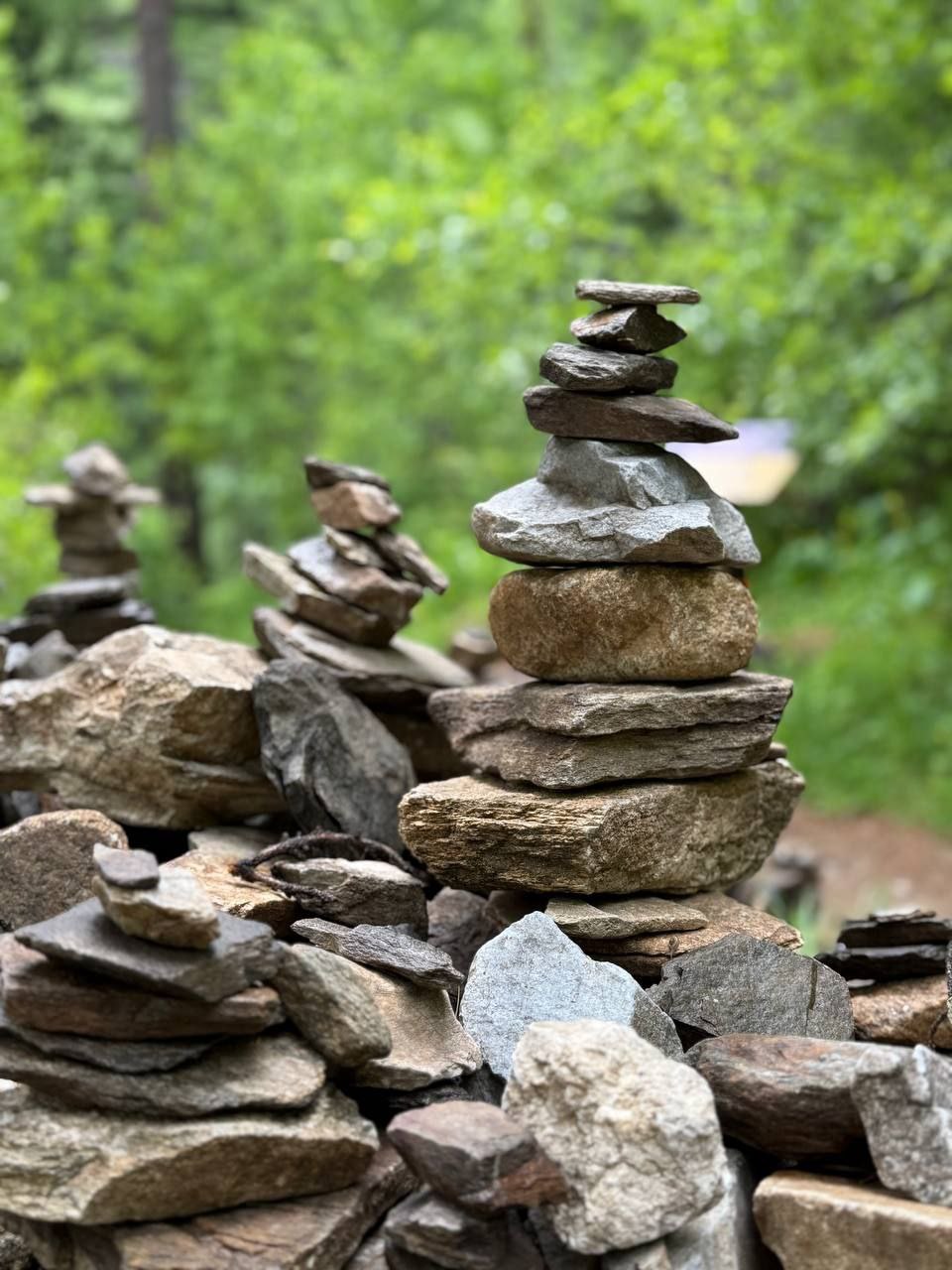 В Монголию к озеру Хубсугул (26/68)