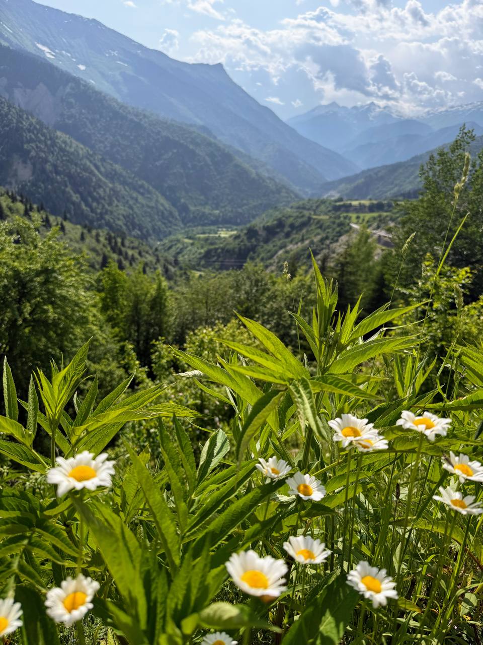 Тур в горы Грузии. Горная Сванетия. Снежные вершины, водопады, каньоны, пещеры (42/69)