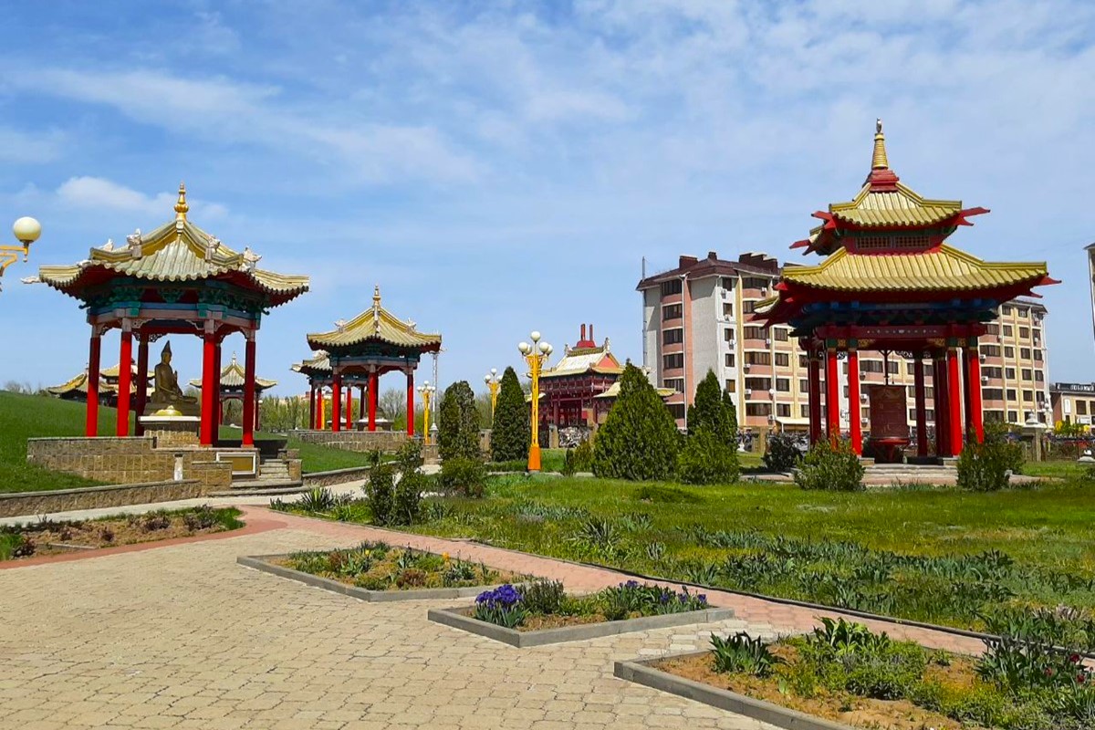 Уникальная фауна степей Калмыкии: птицы и сайгаки (3/34)