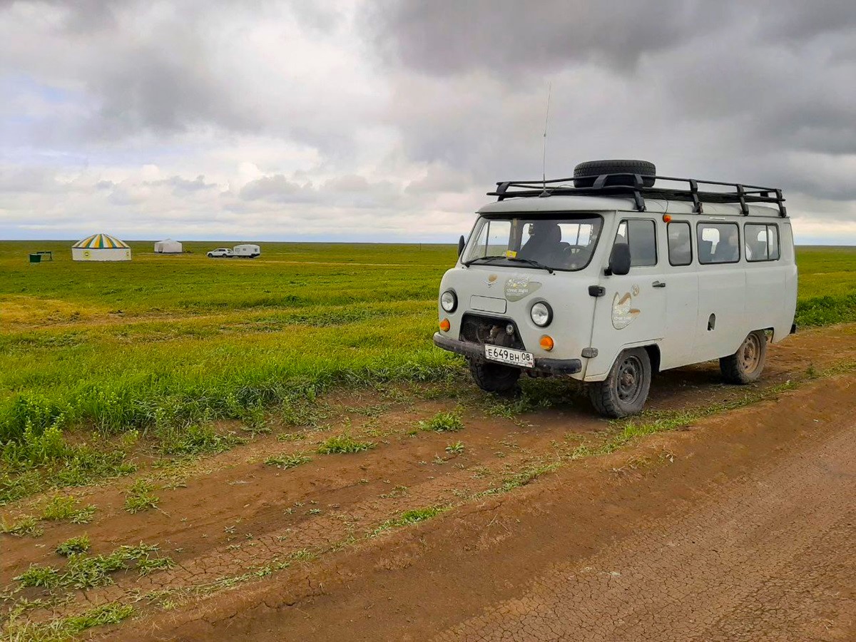 Уникальная фауна степей Калмыкии: птицы и сайгаки (10/34)
