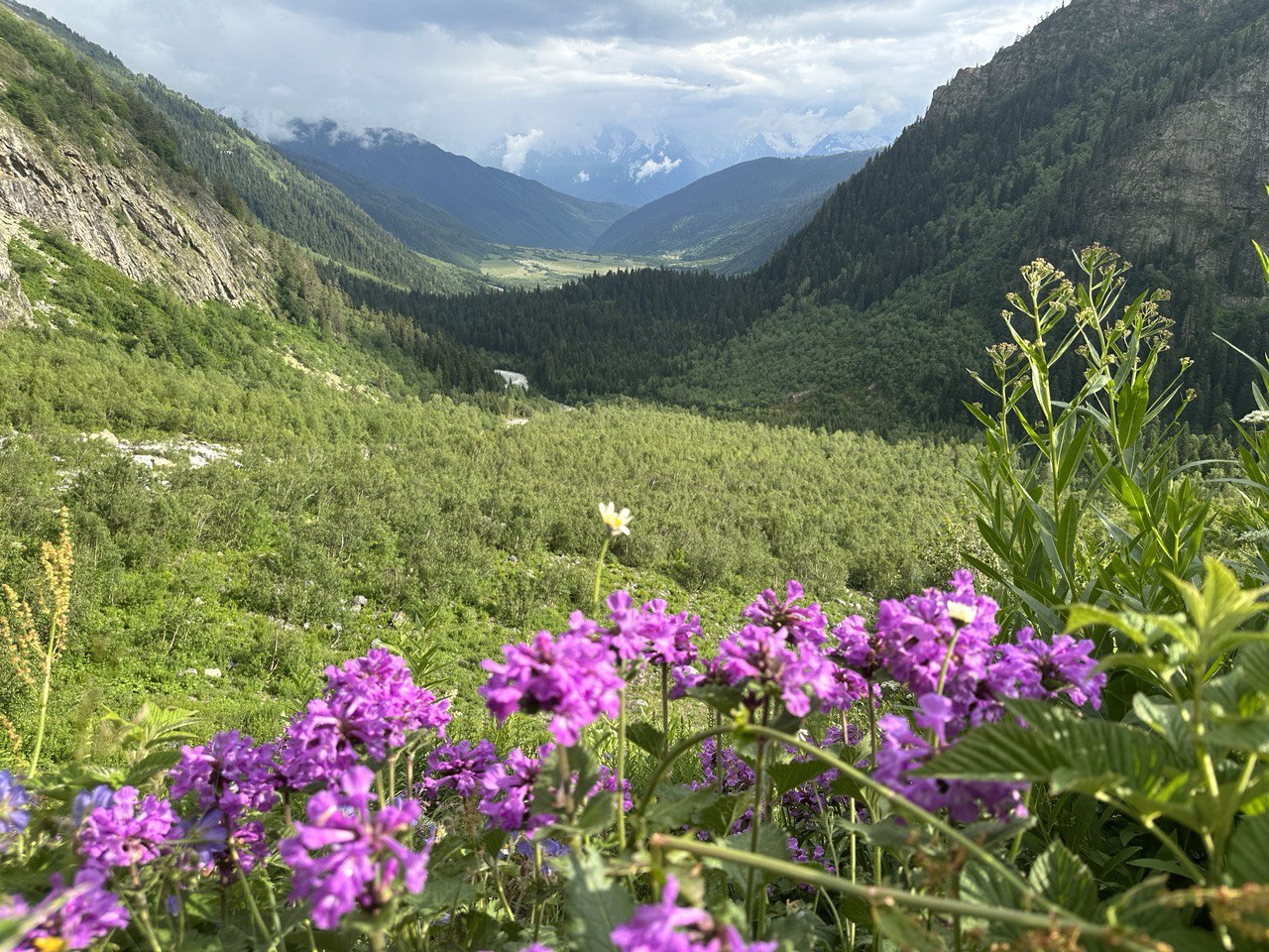 Тур в горы Грузии. Горная Сванетия. Снежные вершины, водопады, каньоны, пещеры (5/69)