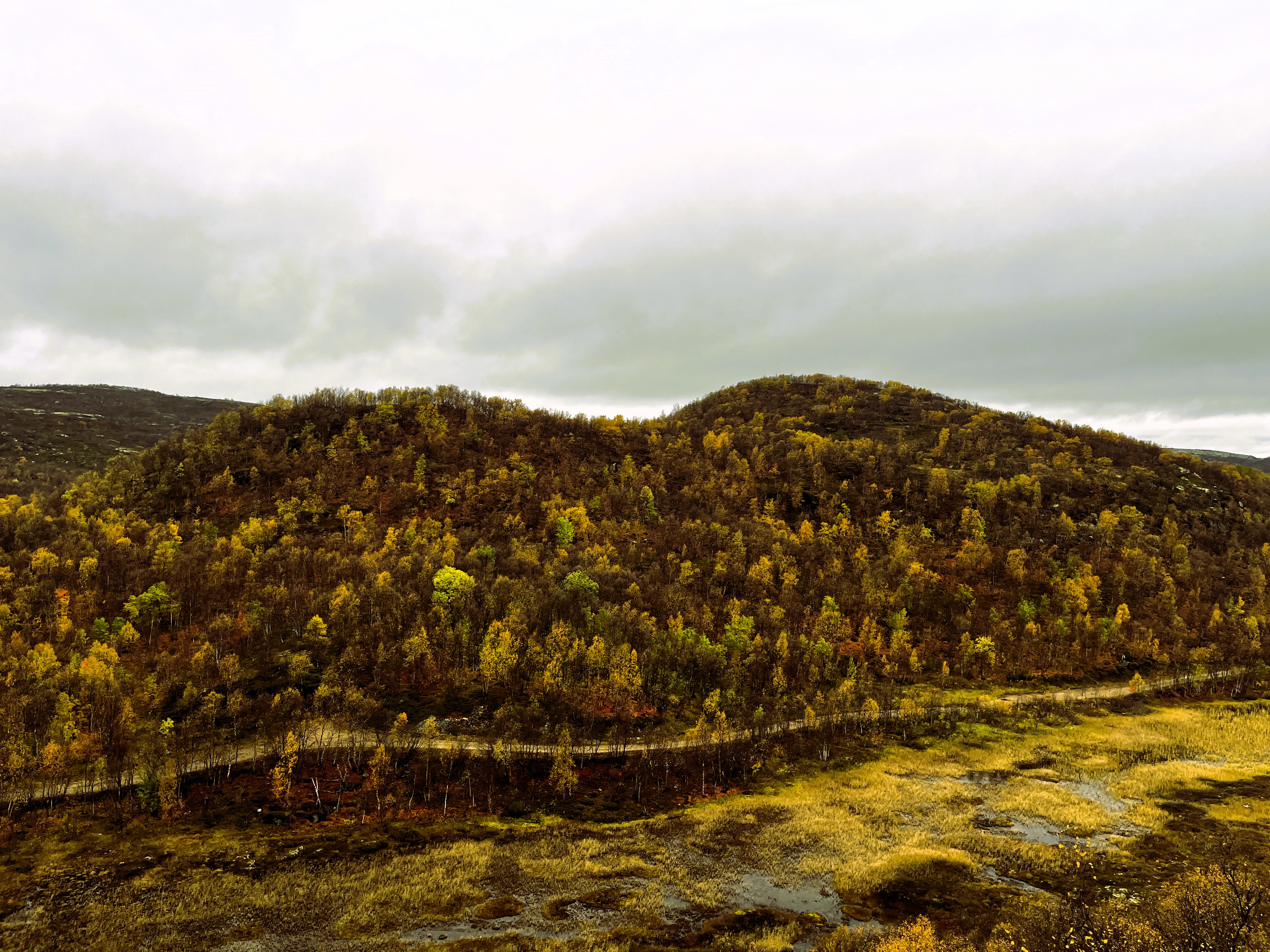Осенний Кольский. Териберка и Хибины.  Океан и Горы. (19/38)