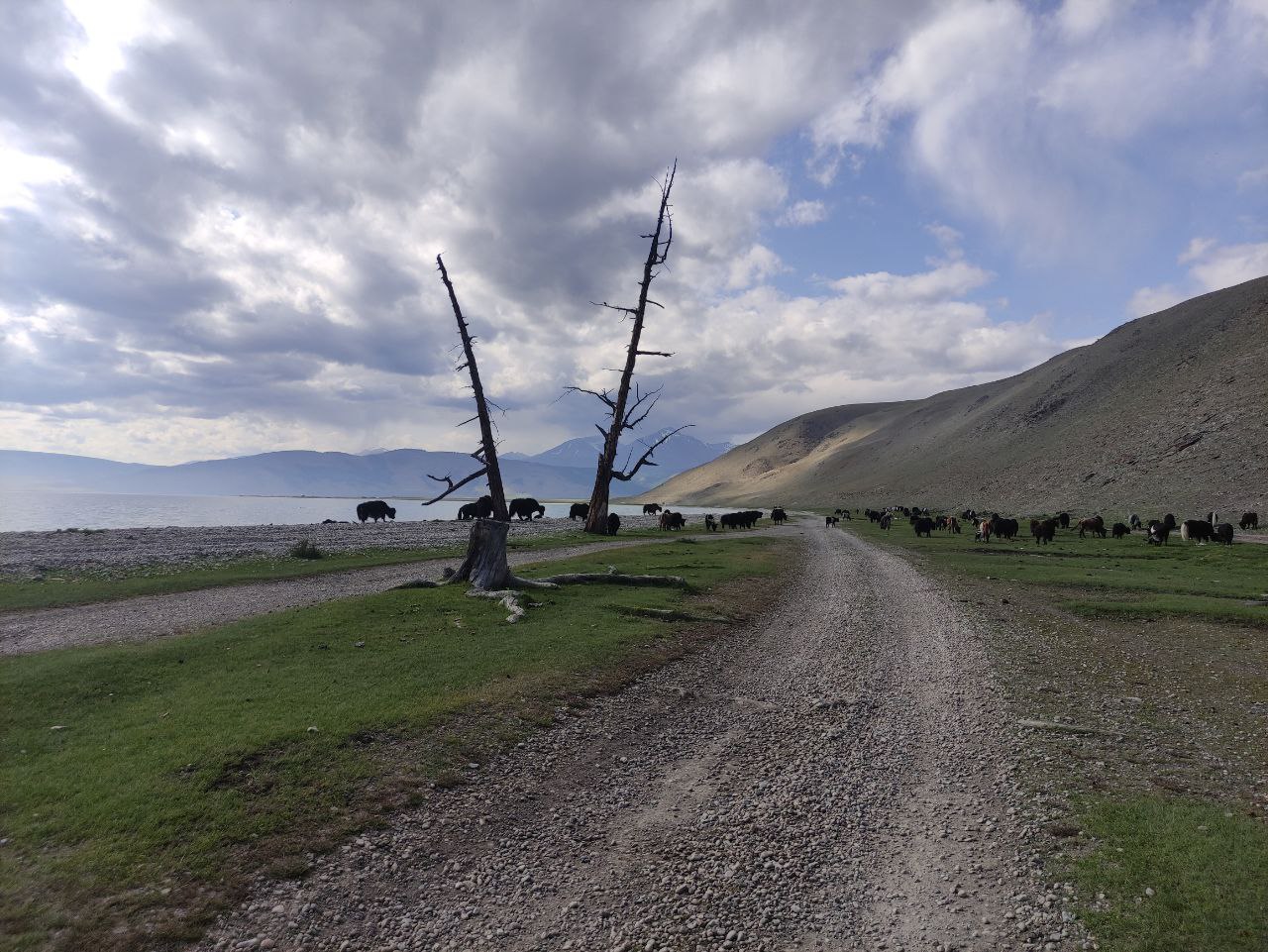 В Монголию к озеру Хубсугул (36/68)