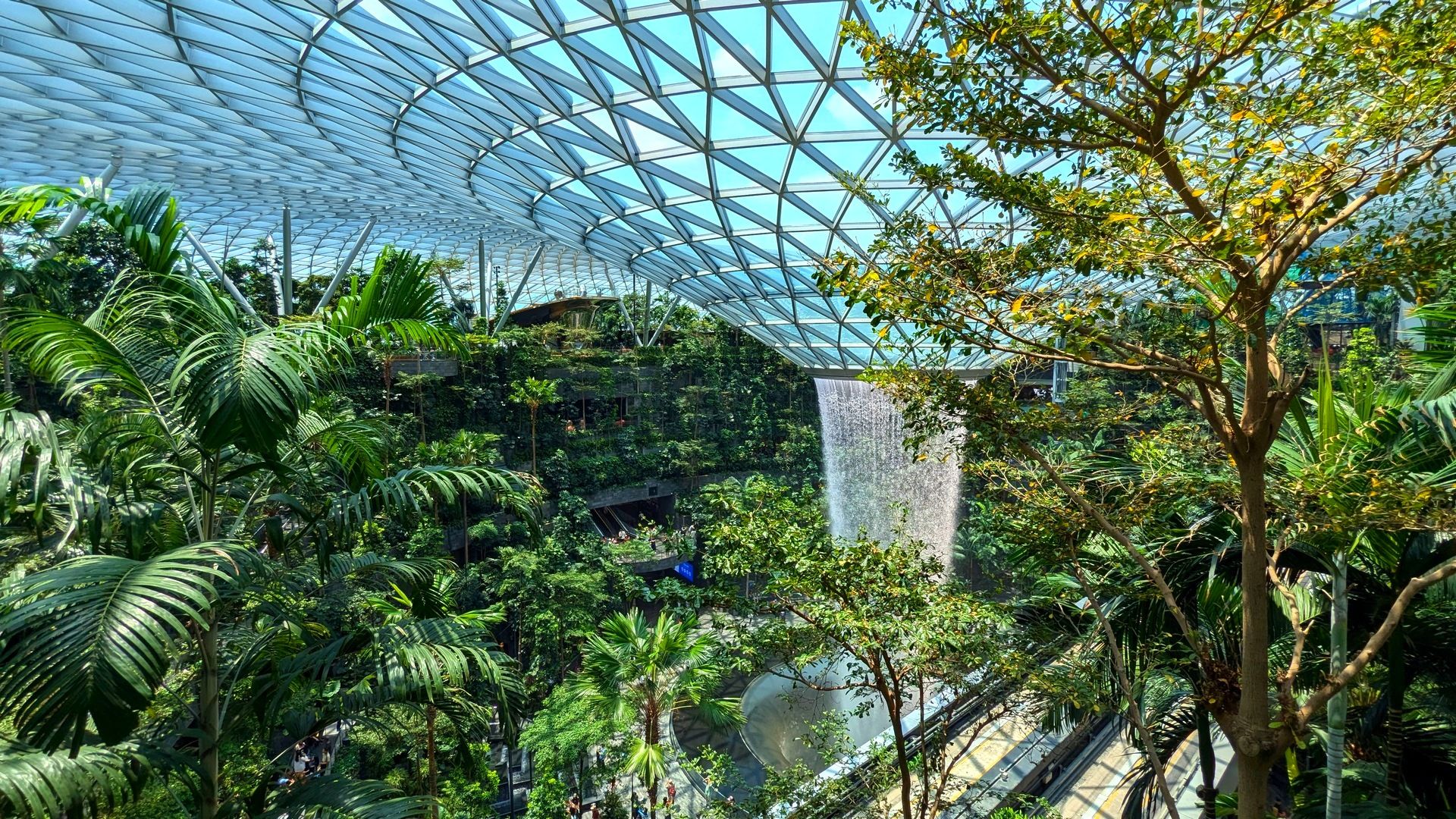 Сингапур, Куала-Лумпур и Восточный Борнео за 11 дней (индивидуально)