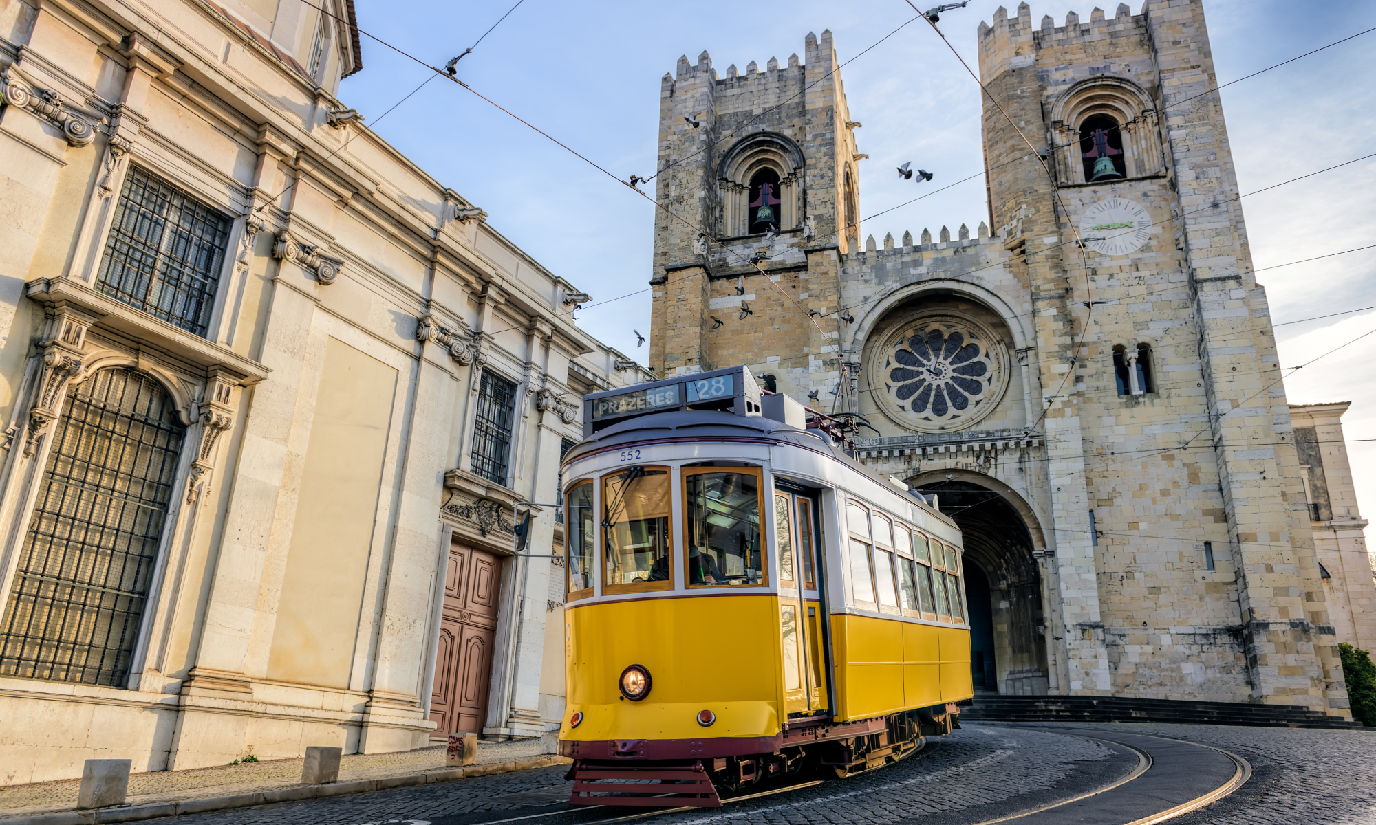 Цветущая Мадейра с авиаперелетом из Спб (33/41)