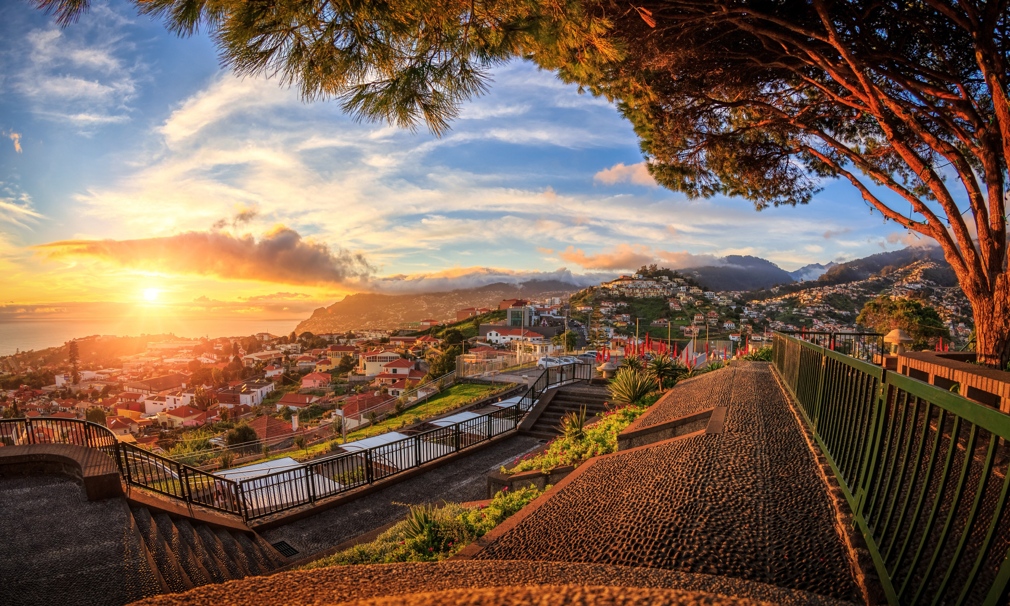 Цветущая Мадейра с авиаперелетом из Москвы (24/41)