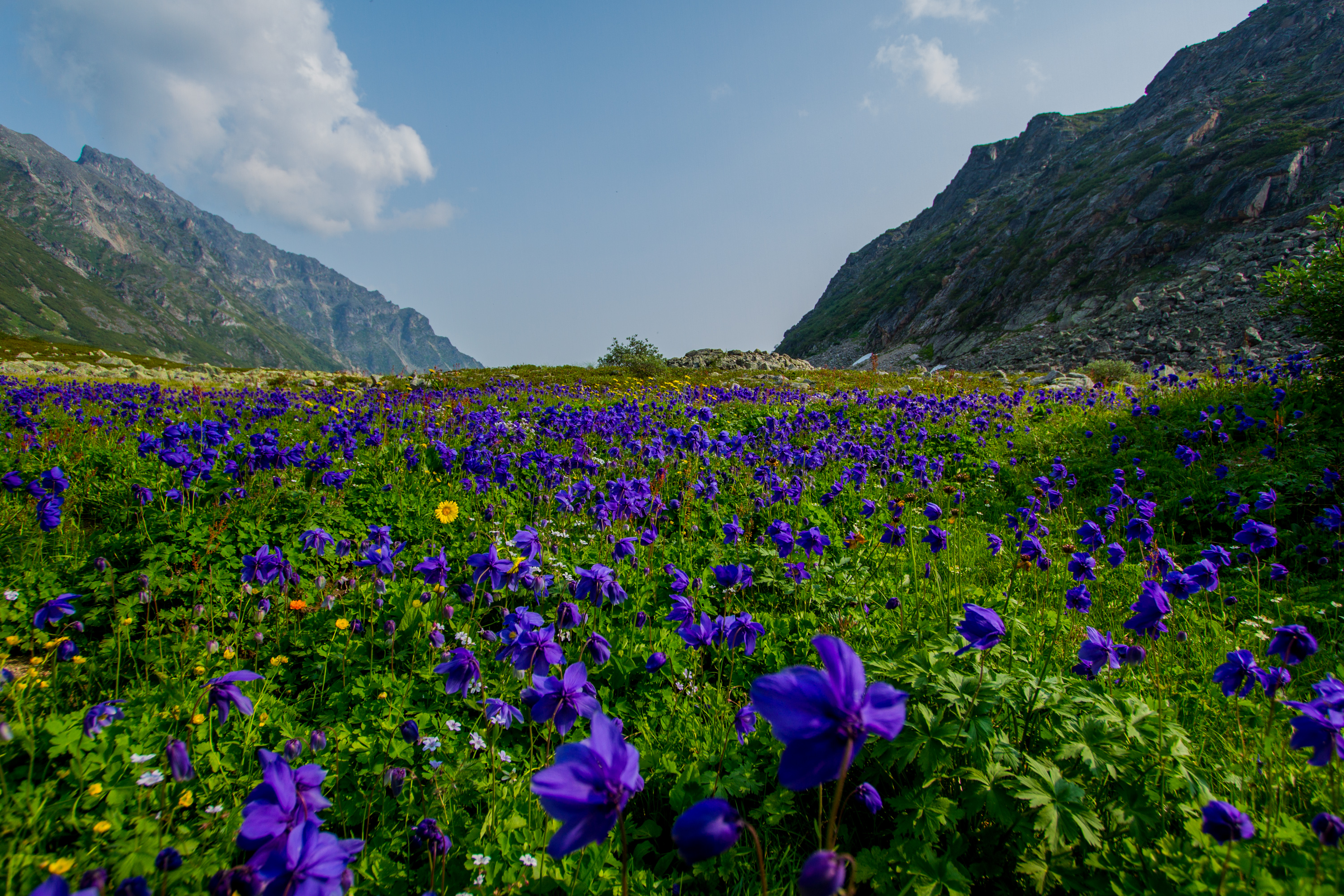 Байкал Бурятия Баргузин Мультитур Горы и Тайга (10/25)