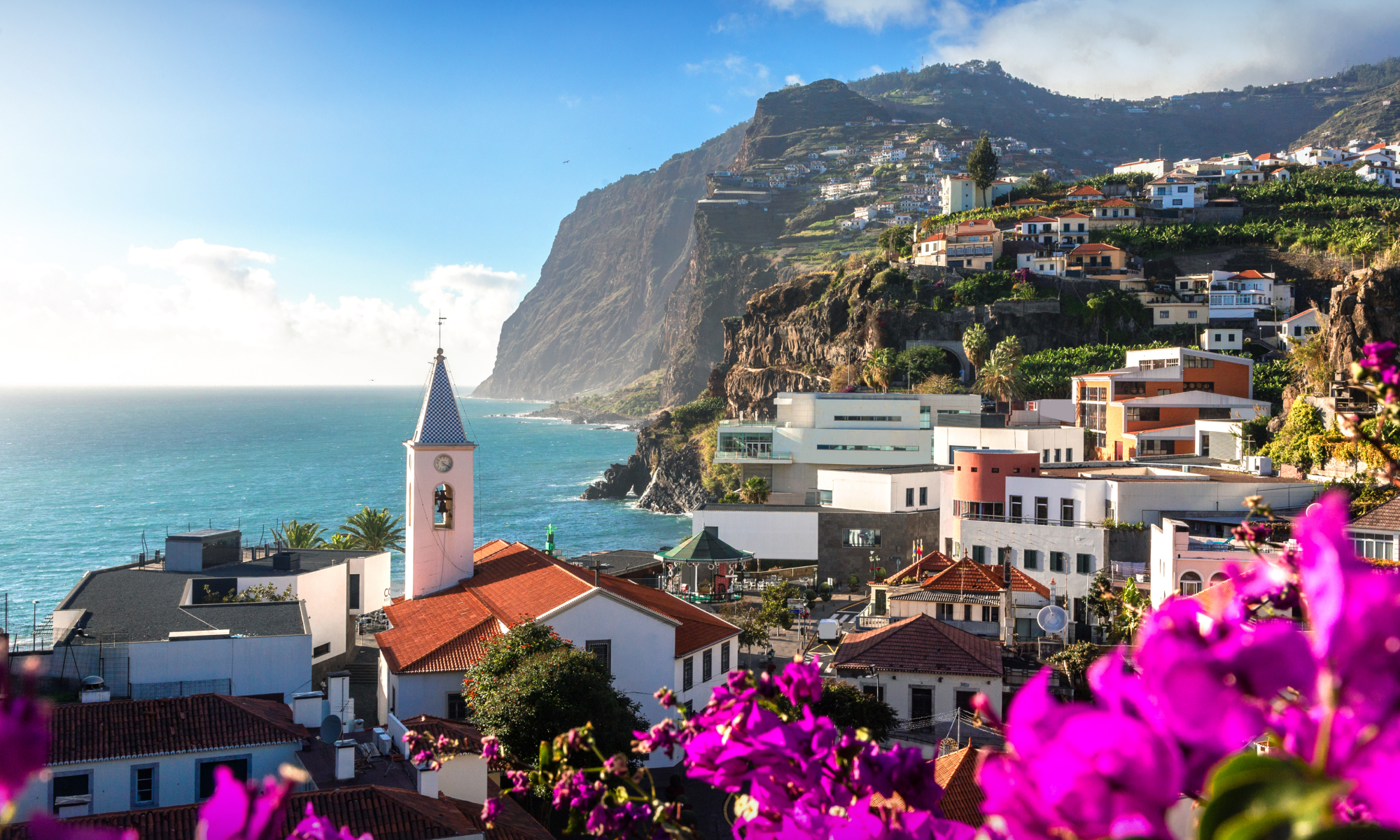 Цветущая Мадейра с авиаперелетом из Москвы (9/41)