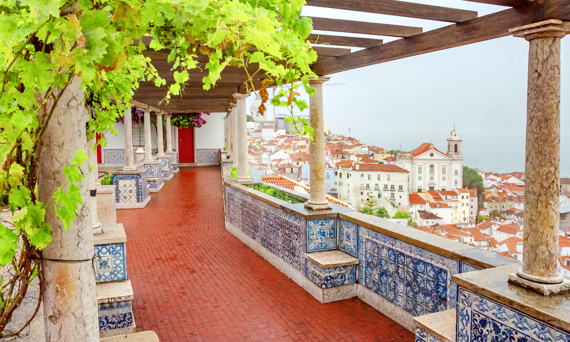 Цветущая Мадейра с авиаперелетом из Спб (28/41)