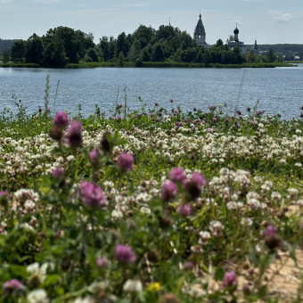 Мульти-тур Окская тропа и озеро Ключик на Sup, Нижний Новгород (11/16)