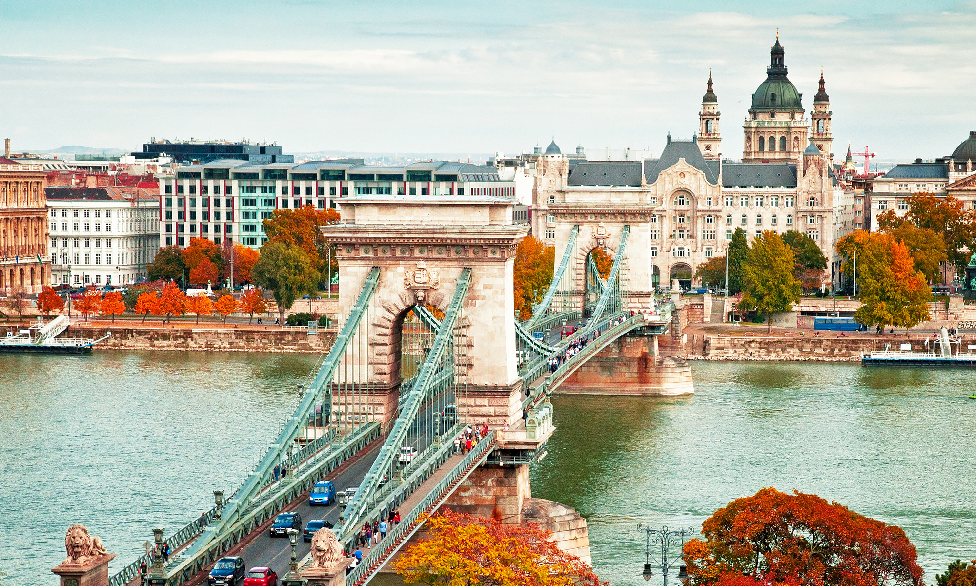 Цветущая Мадейра с авиаперелетом из Москвы (5/41)