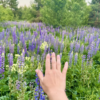 Мульти-тур Окская тропа и озеро Ключик на Sup, Нижний Новгород (10/16)