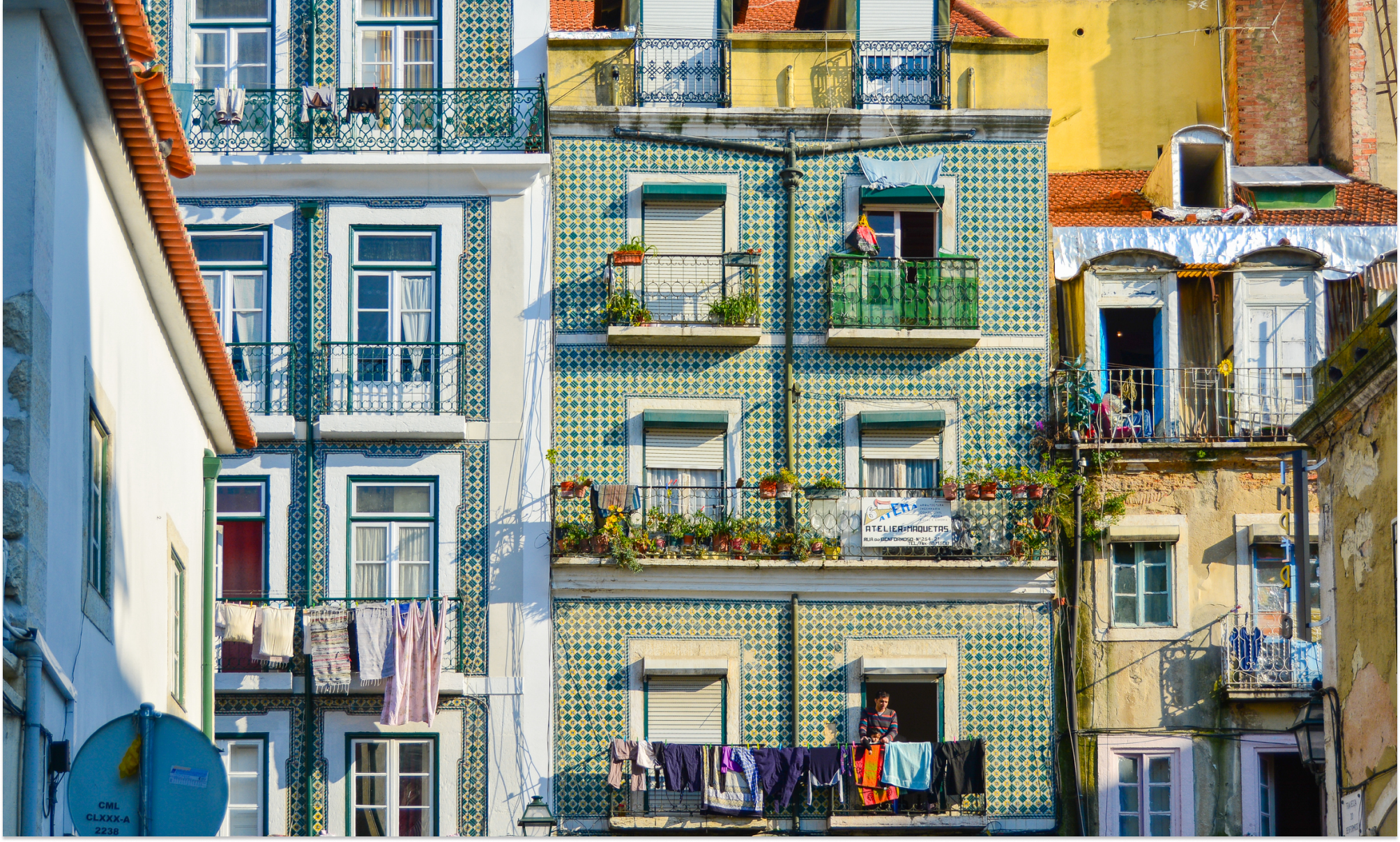 Цветущая Мадейра с авиаперелетом из Москвы (35/41)