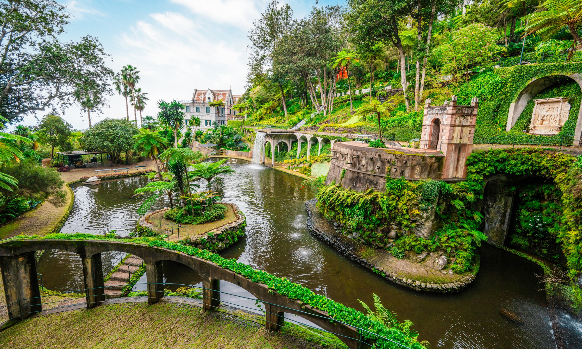 Цветущая Мадейра с авиаперелетом из Спб (11/41)