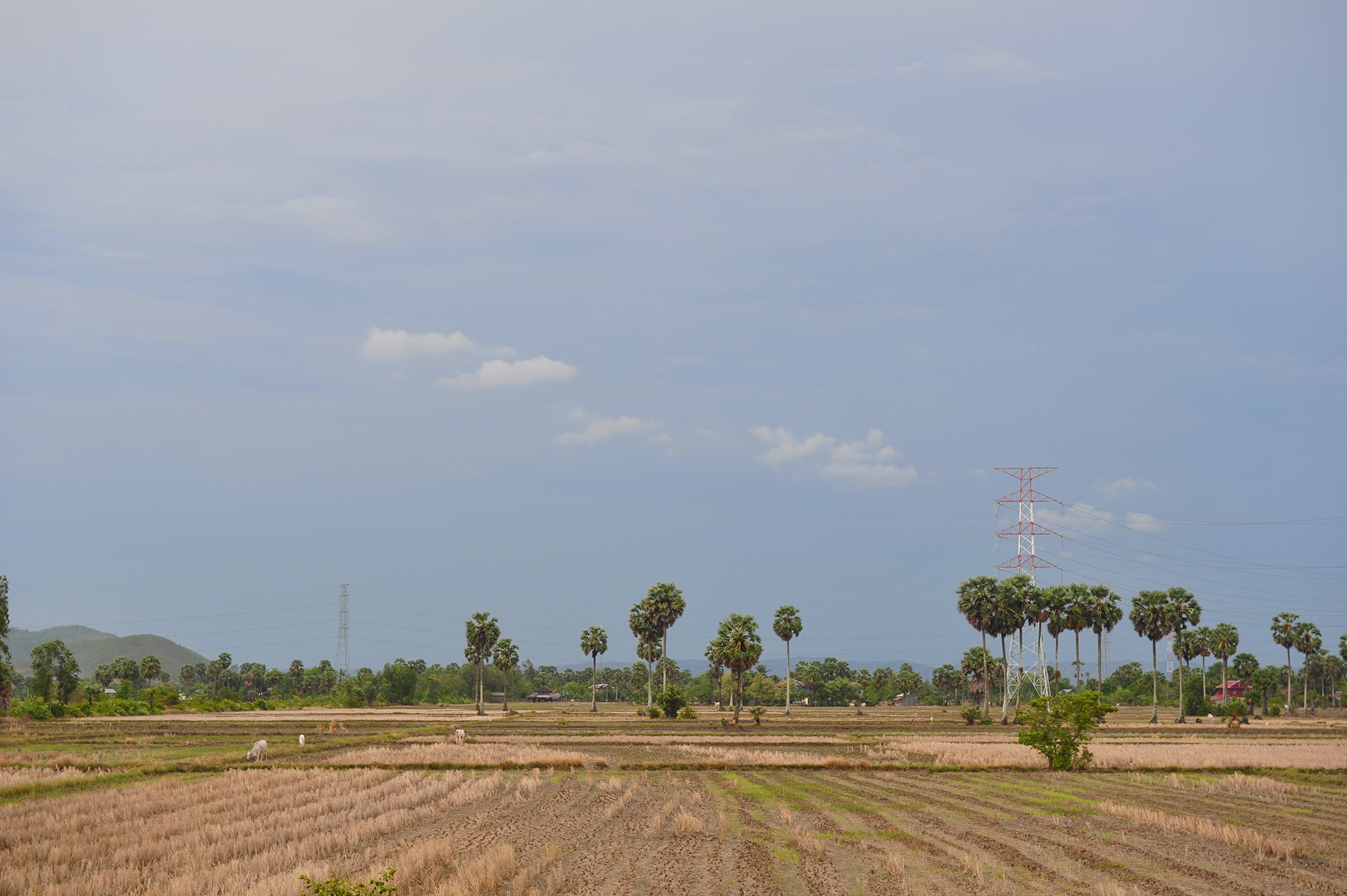 Вьетнам и Камбоджа — 2 острова, 7 локаций, Ангор Ват, гора Бакор, Хошимин. (15/52)